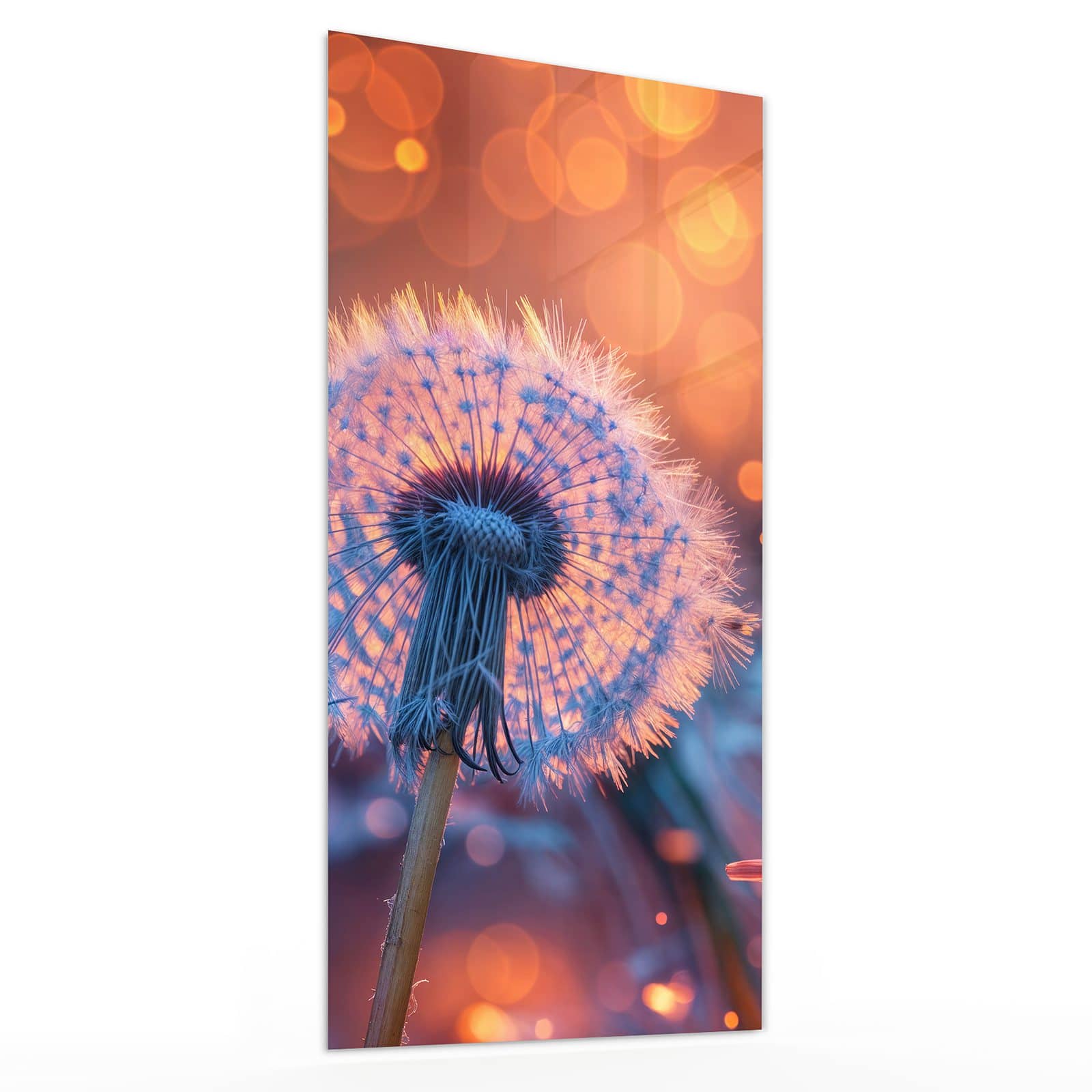 #grösse_30 x 60 cm #grösse_40 x 80 cm #grösse_50 x 100 cm #grösse_55 x 110 cm #grösse_60 x 120 cm