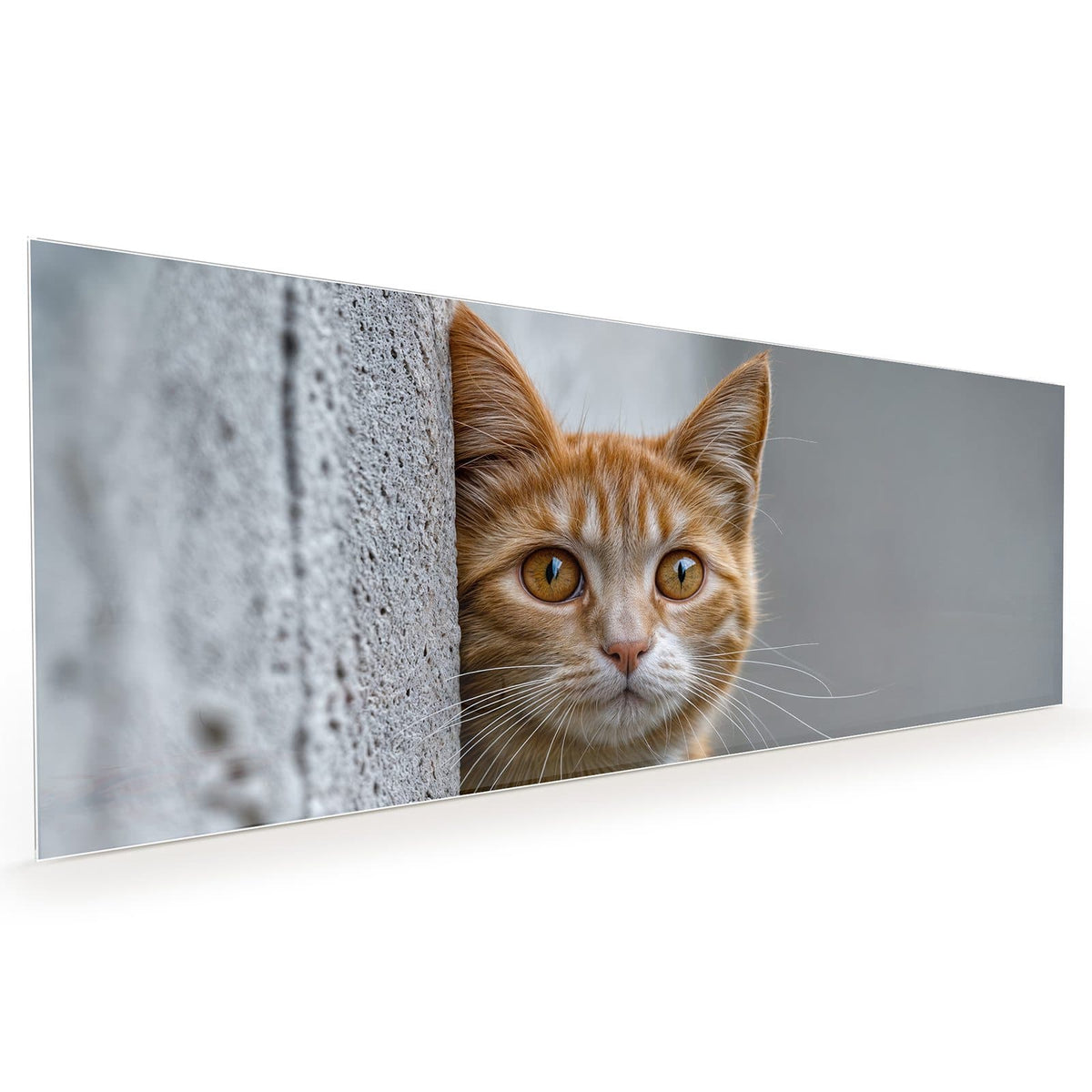Küchenrückwand aus Glas im Hochformat: Orange getigerte Katze lugt hinter einer grauen Betonmauer hervor, eine Pfote am Rand