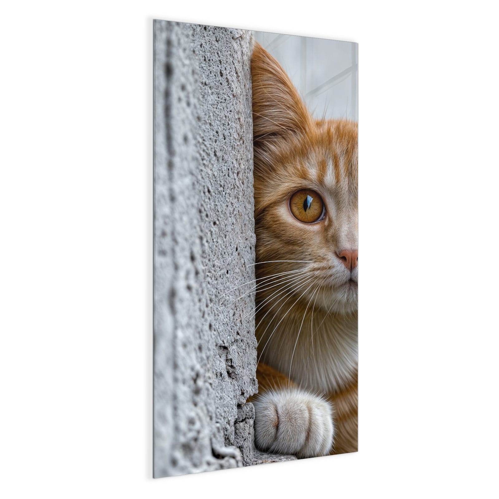 #grösse_50 x 100 cm