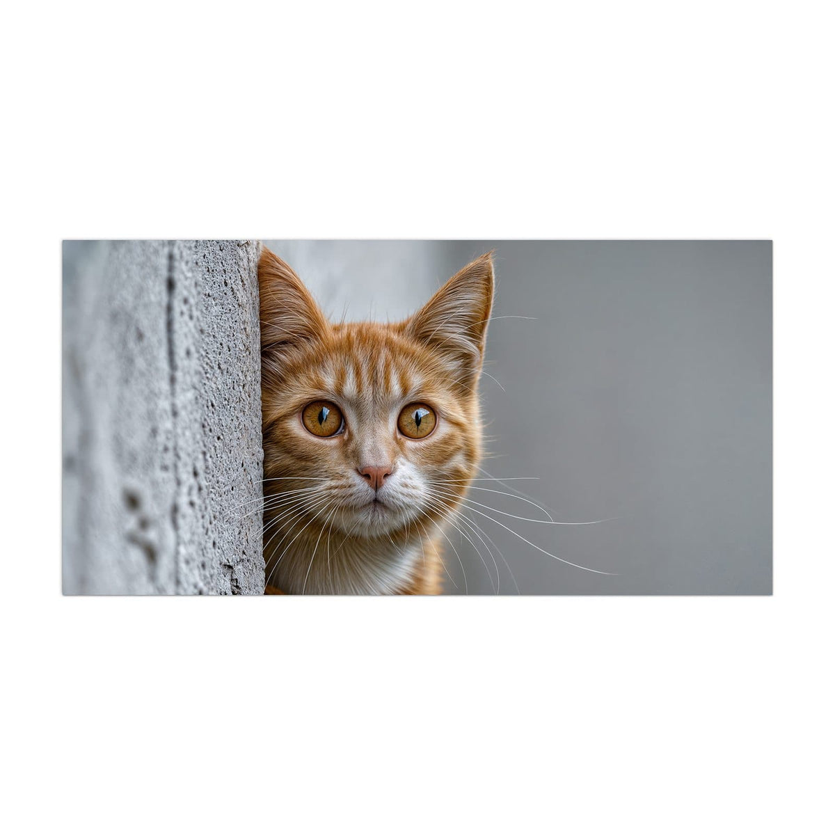 Küchenrückwand aus Glas Katze hinter der Mauer im Hochformat, Motiv bildfüllend von vorn