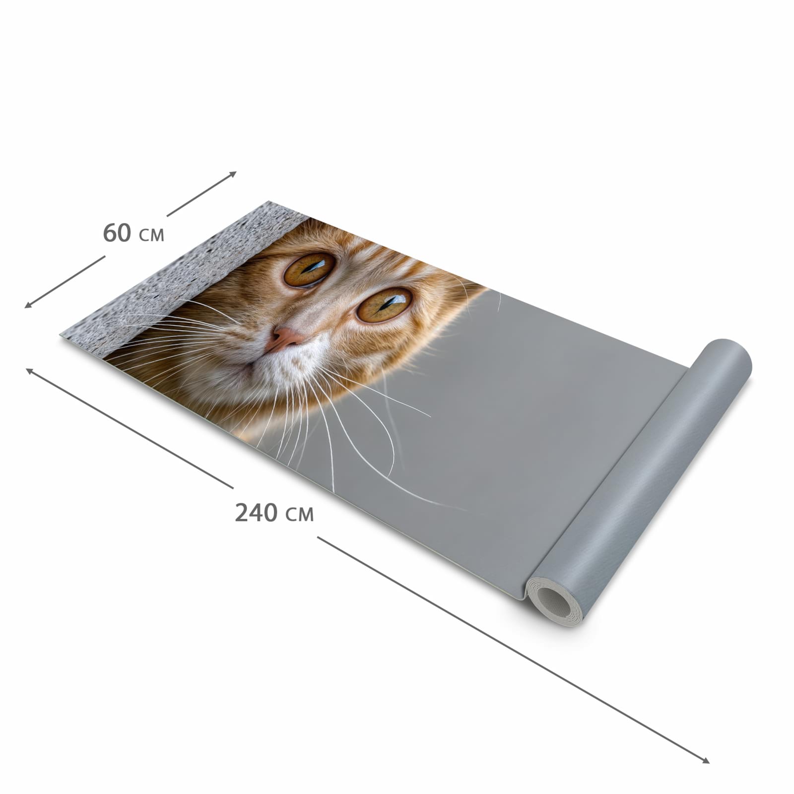 Rutschfester Küchenteppich mit Motiv Neugierige Katze in der Größe 80x200 cm