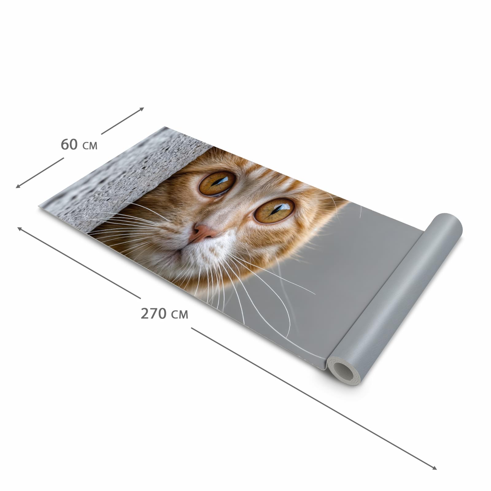 Feuchtigkeitsresistenter Küchenteppich mit Motiv Neugierige Katze in der Grösse 80x200 cm