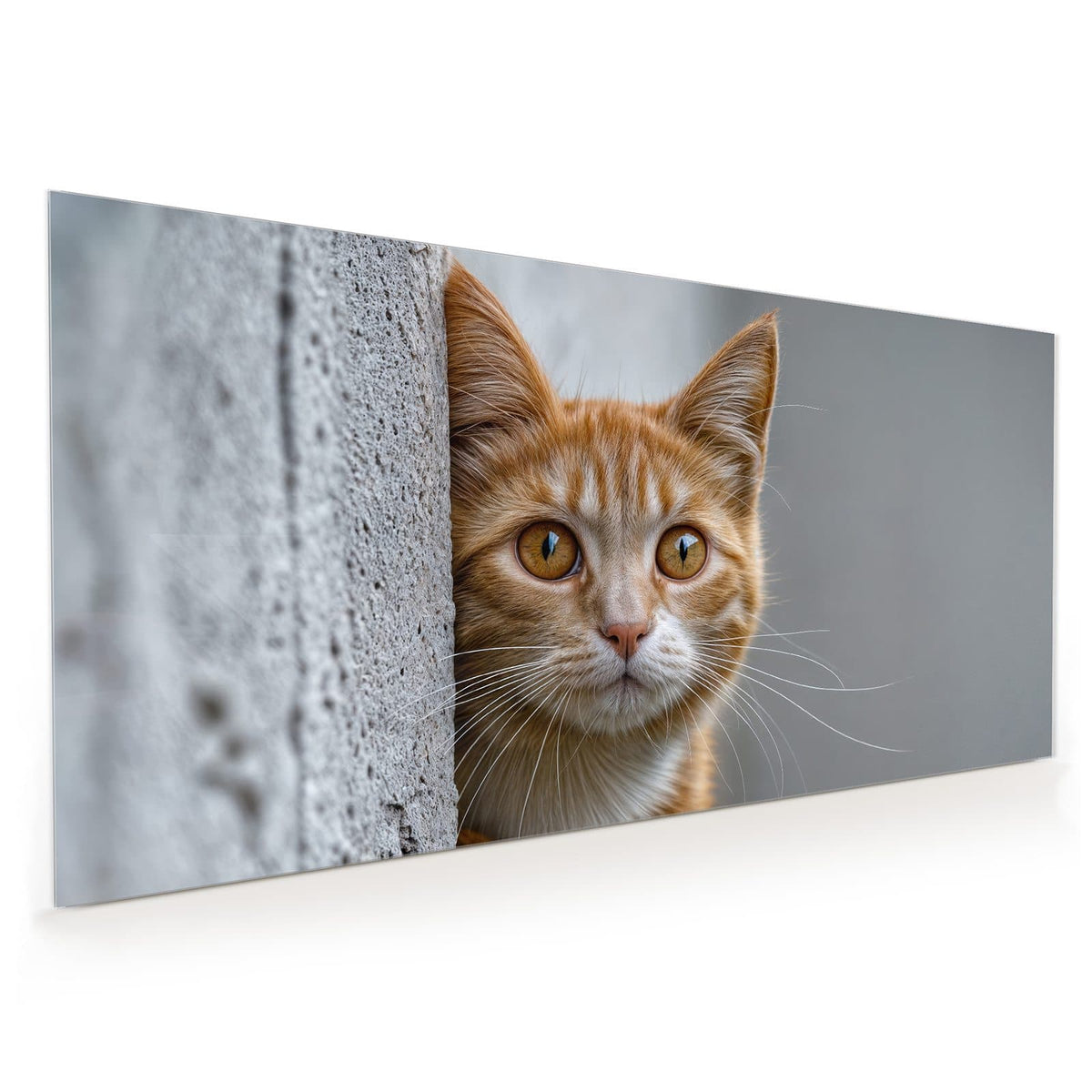Orange getigerte Katze lugt hinter einer grauen Betonmauer hervor, eine Pfote am Rand