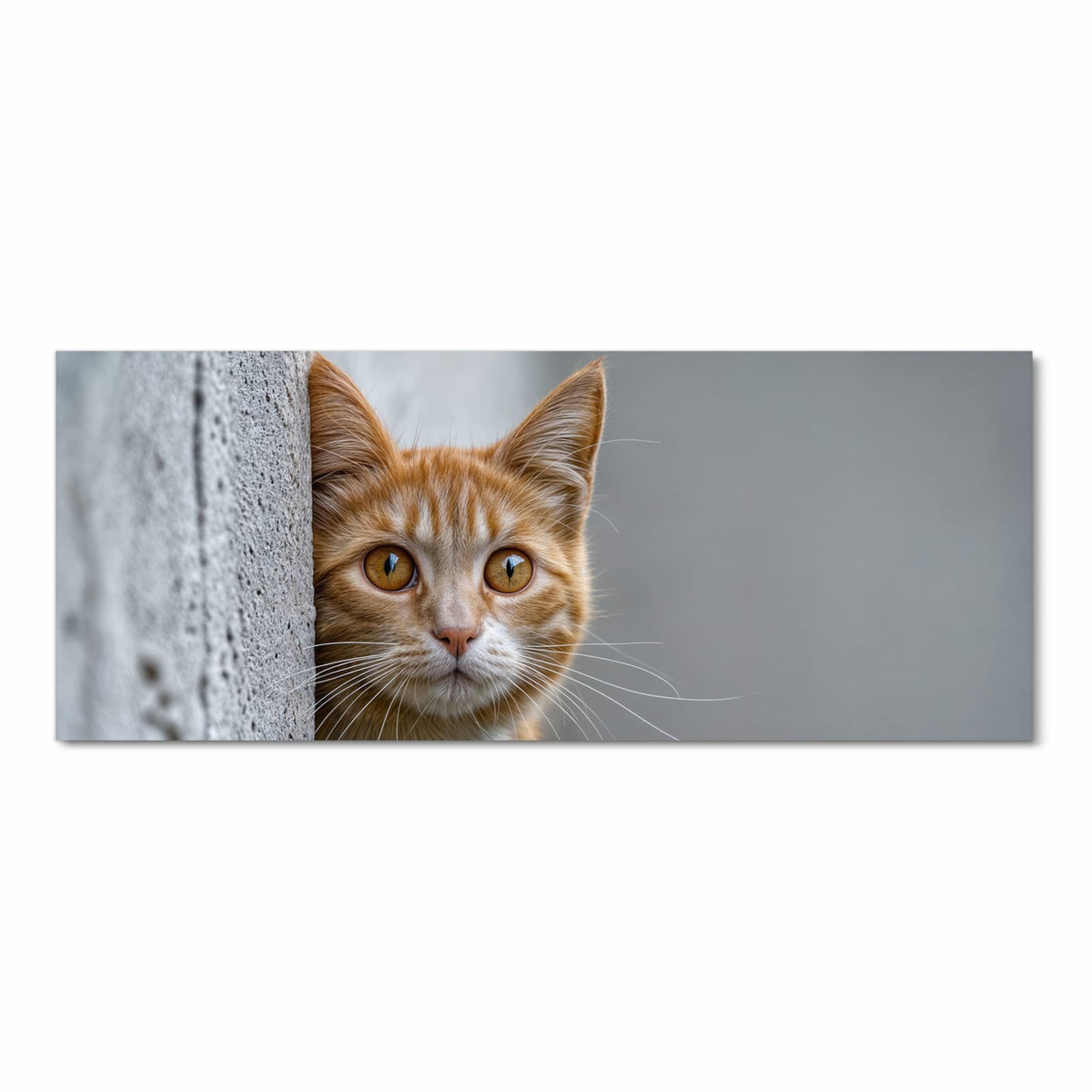 Orange getigerte Katze lugt hinter einer grauen Betonmauer hervor, eine Pfote am Rand