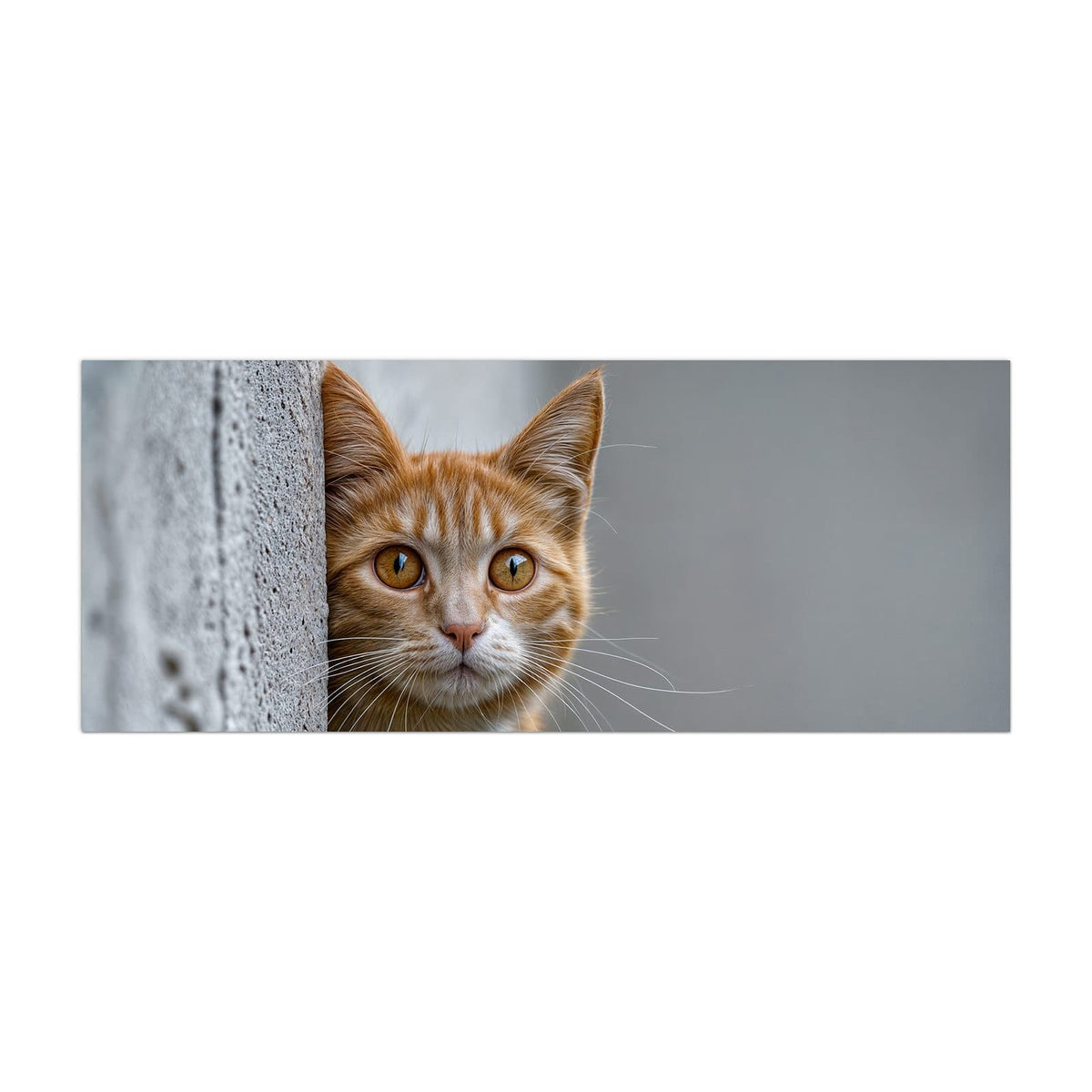 Küchenrückwand aus Glas Katze hinter der Mauer im Hochformat, Motiv bildfüllend von vorn