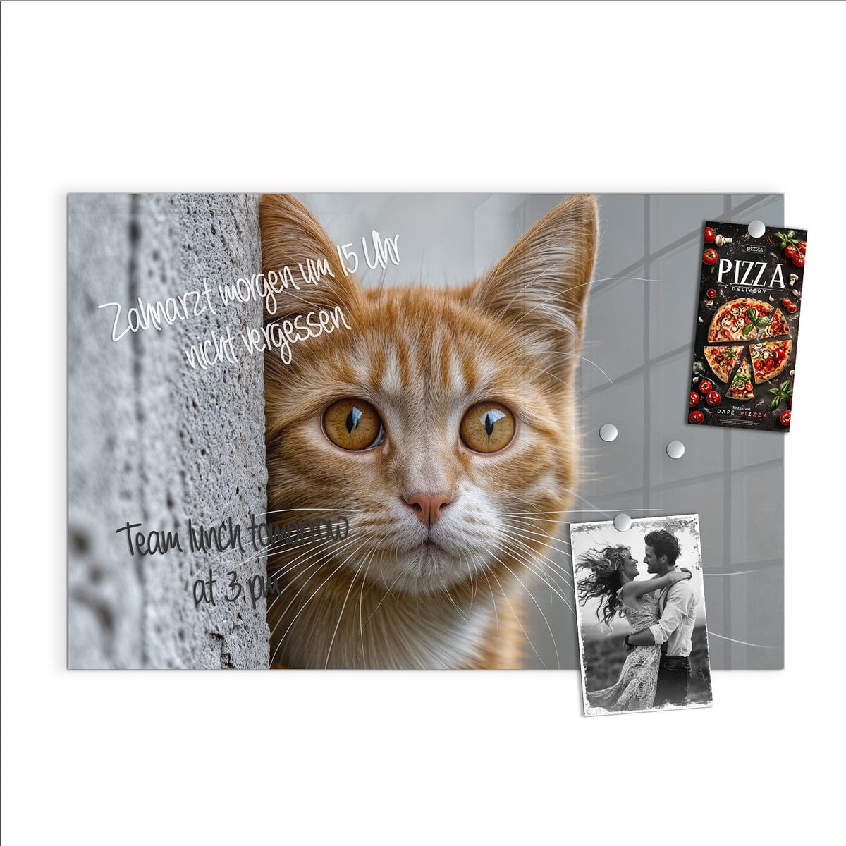 Beschreiben, abwischen, anheften – Magnettafel - Katze hinter der Mauer