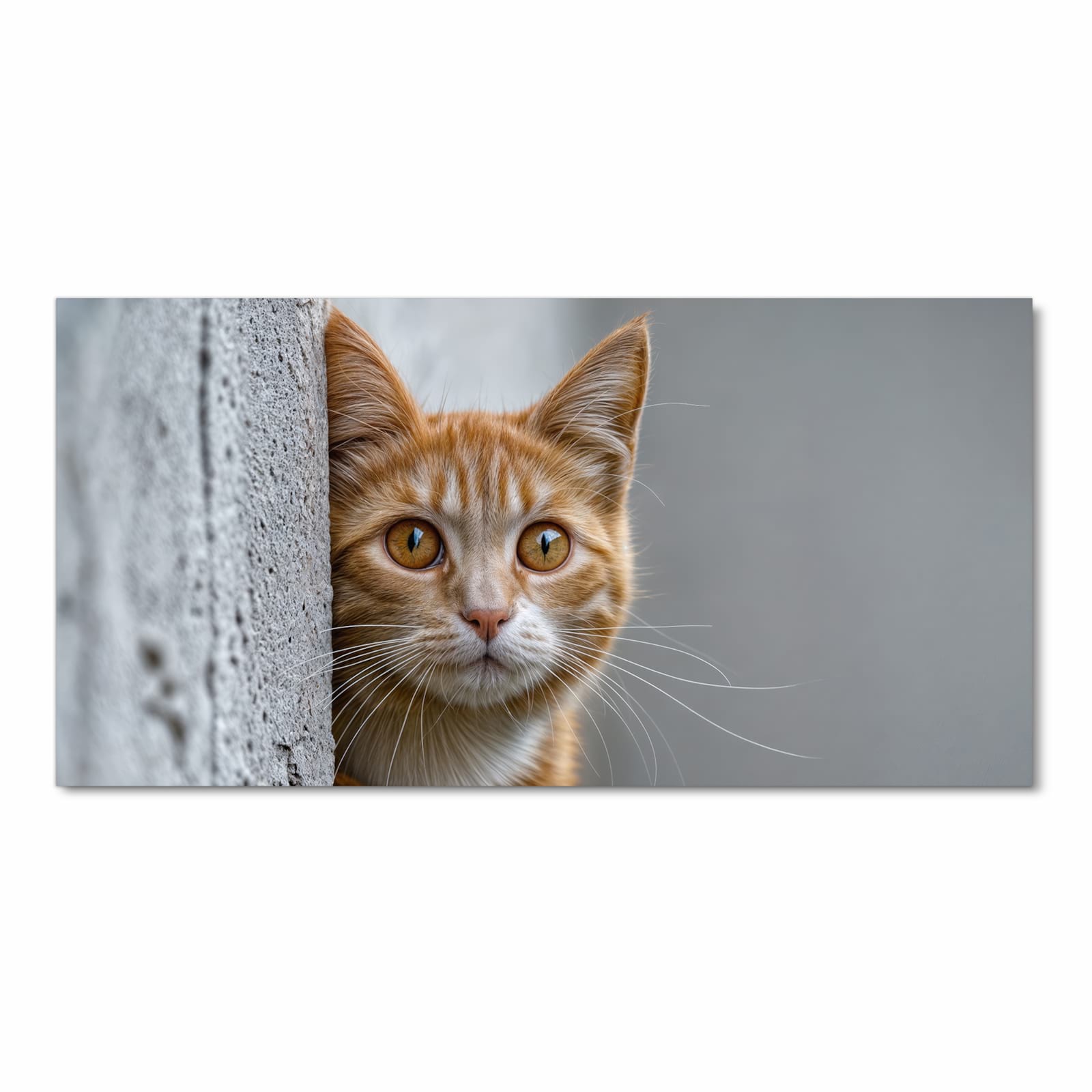 Bodenschonender Küchenteppich mit Motiv Neugierige Katze in Frontansicht