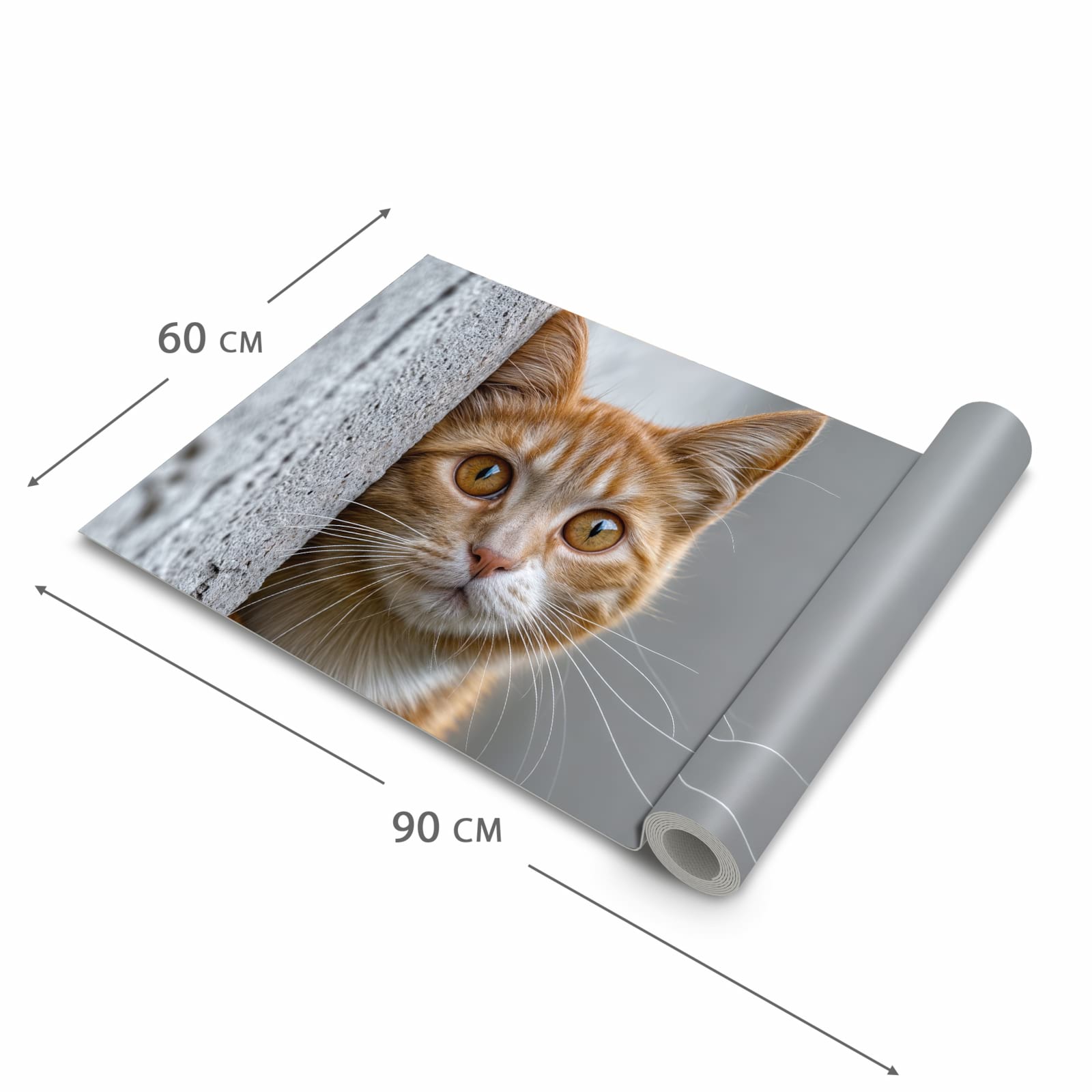 Küchenteppich mit Motiv Neugierige Katze in der Grösse 80x250 cm für Ordnung & Übersicht