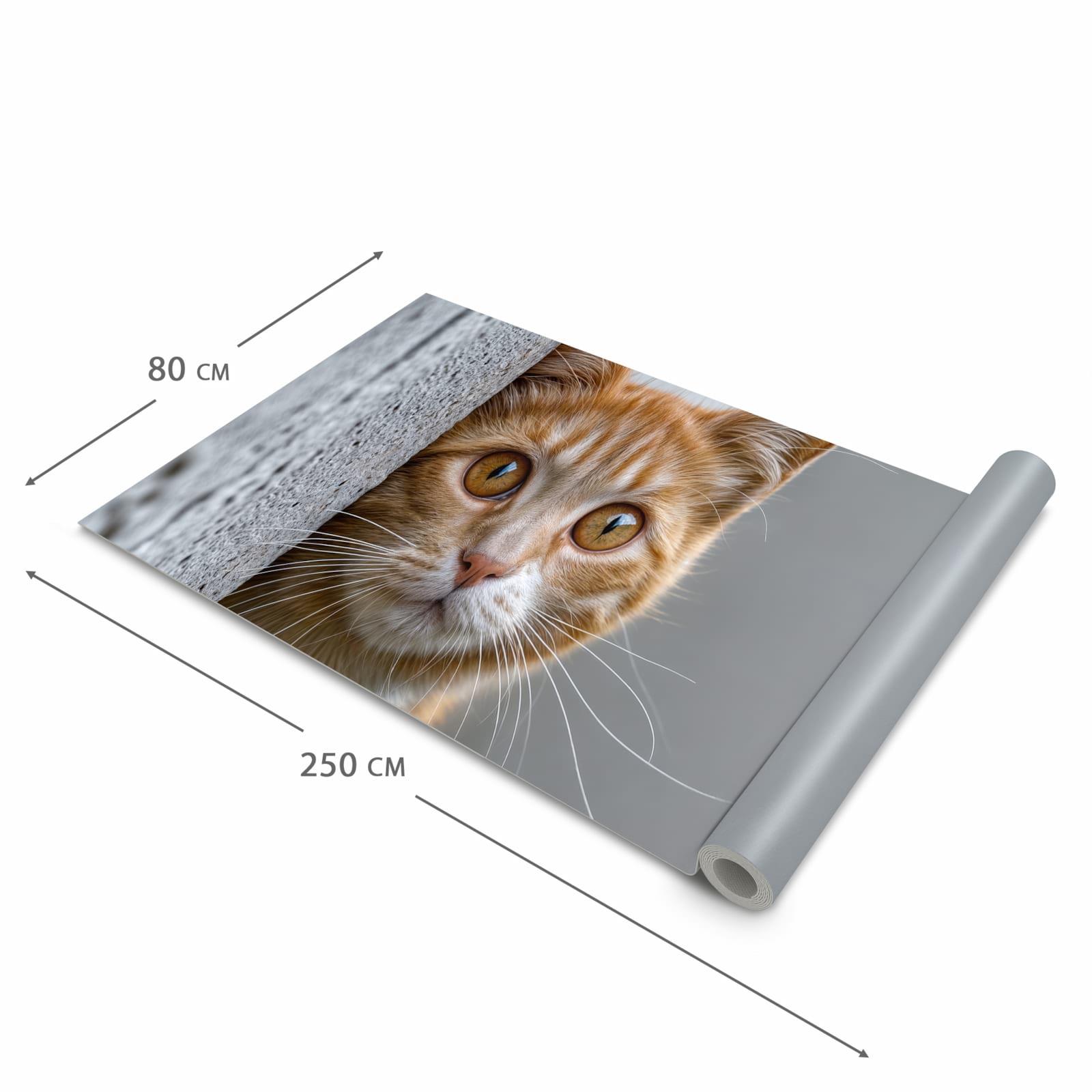 Farbbeständiger Küchenteppich mit Motiv Neugierige Katze in der Grösse 80x250 cm