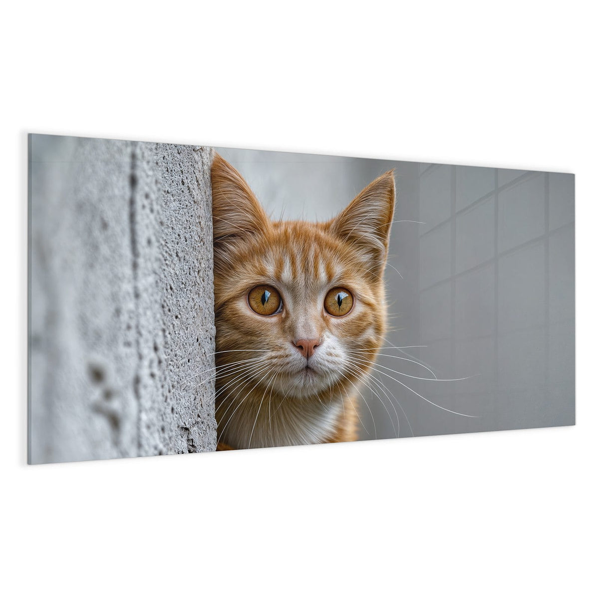 Orange getigerte Katze lugt hinter einer grauen Betonmauer hervor, eine Pfote am Rand
