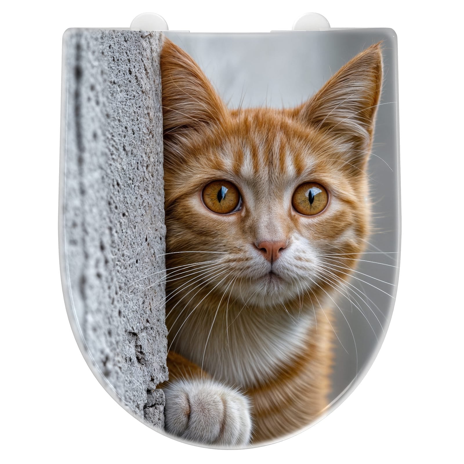 WC-Sitz mit Absenkautomatik Neugierige Katze