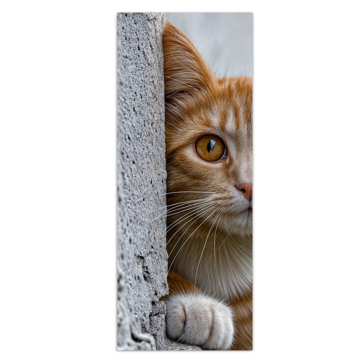 Orange getigerte Katze lugt hinter einer grauen Betonmauer hervor, eine Pfote am Rand