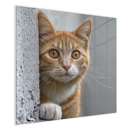 Magnettafel mit dem Motiv Katze hinter der Mauer