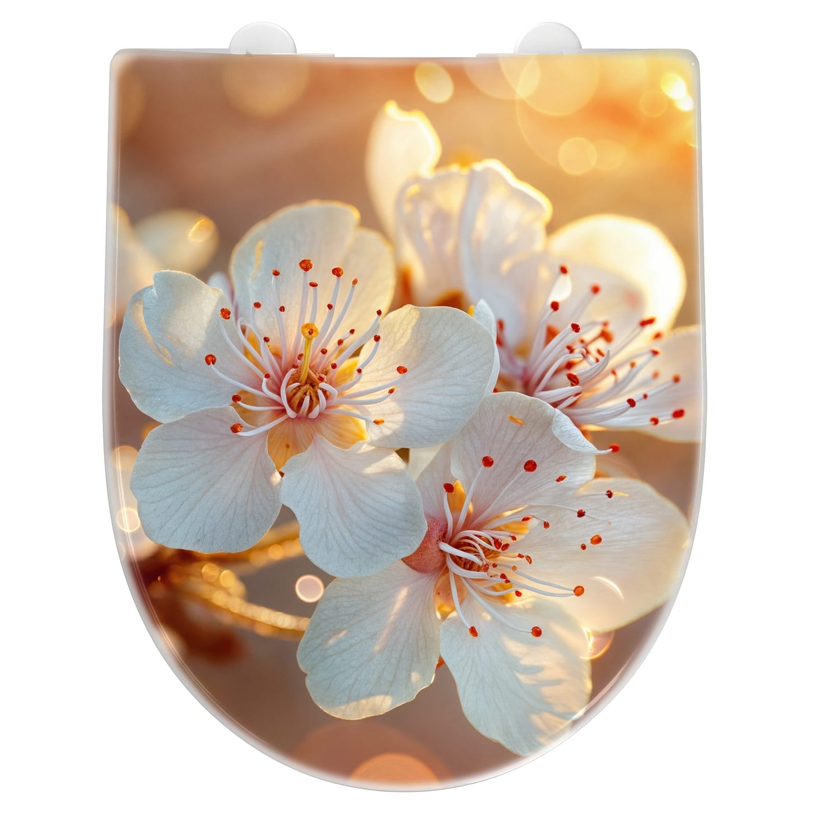 WC-Sitz mit Absenkautomatik Blumenstrahlen