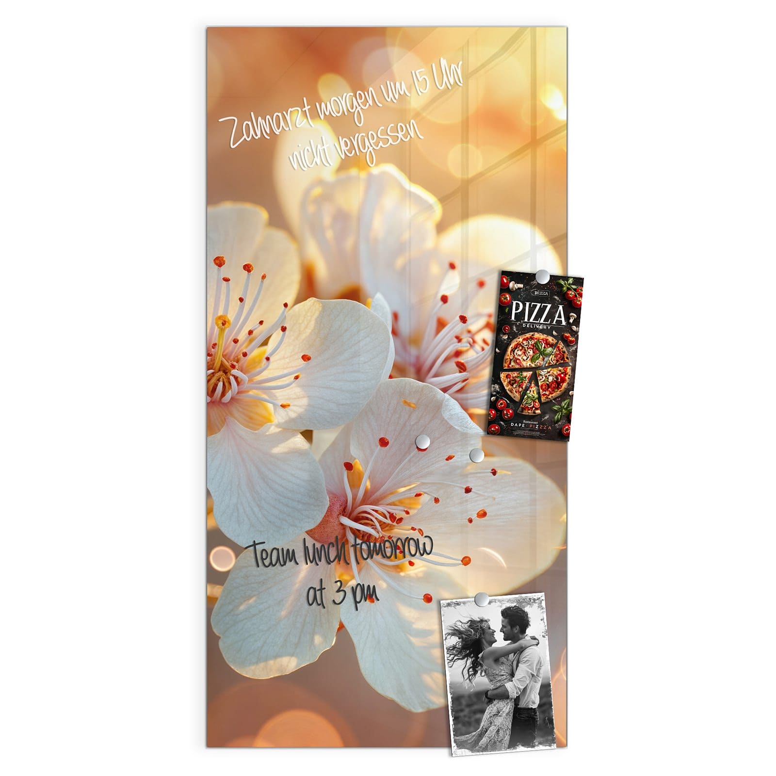 #grösse_50 x 100 cm