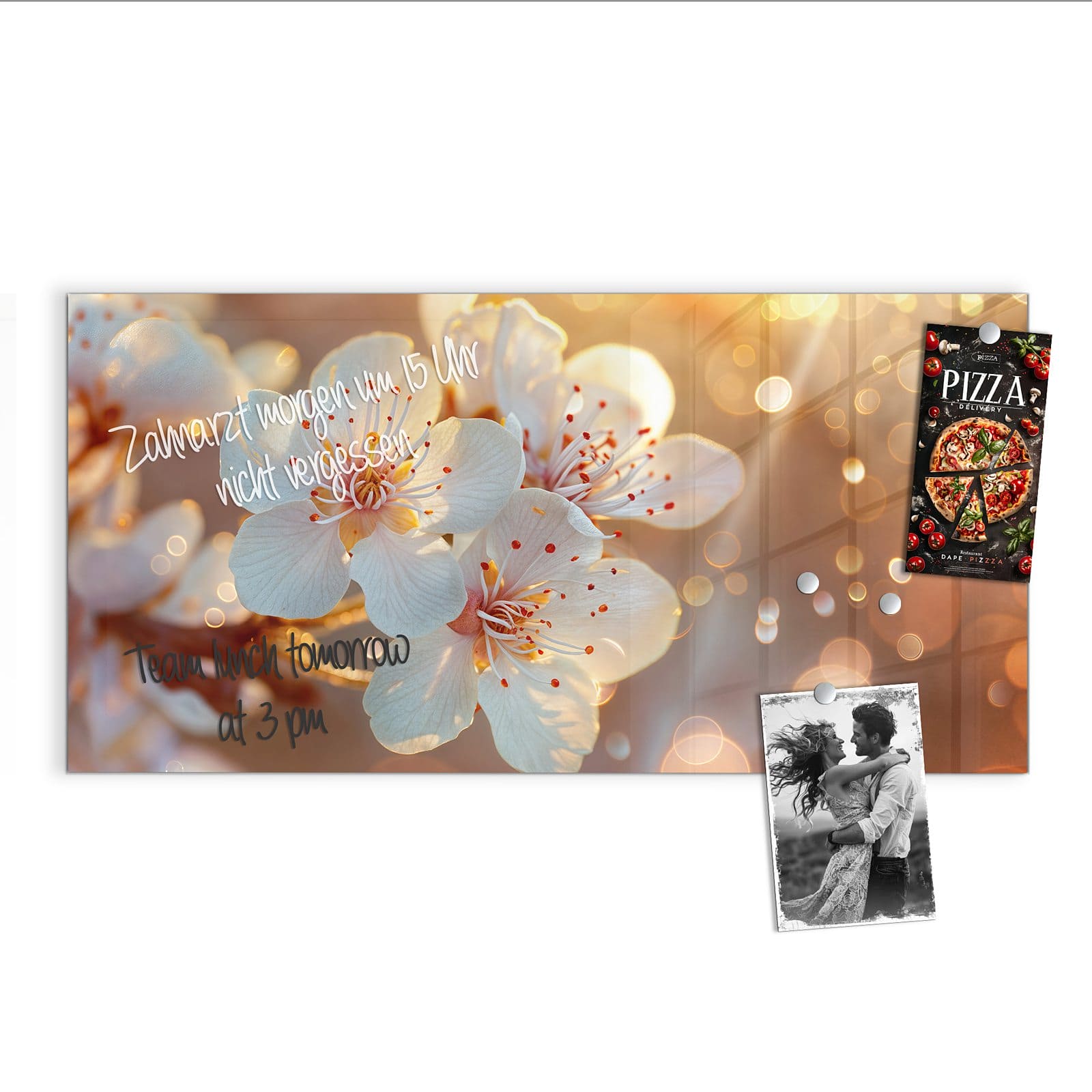 #grösse_100 x 50 cm