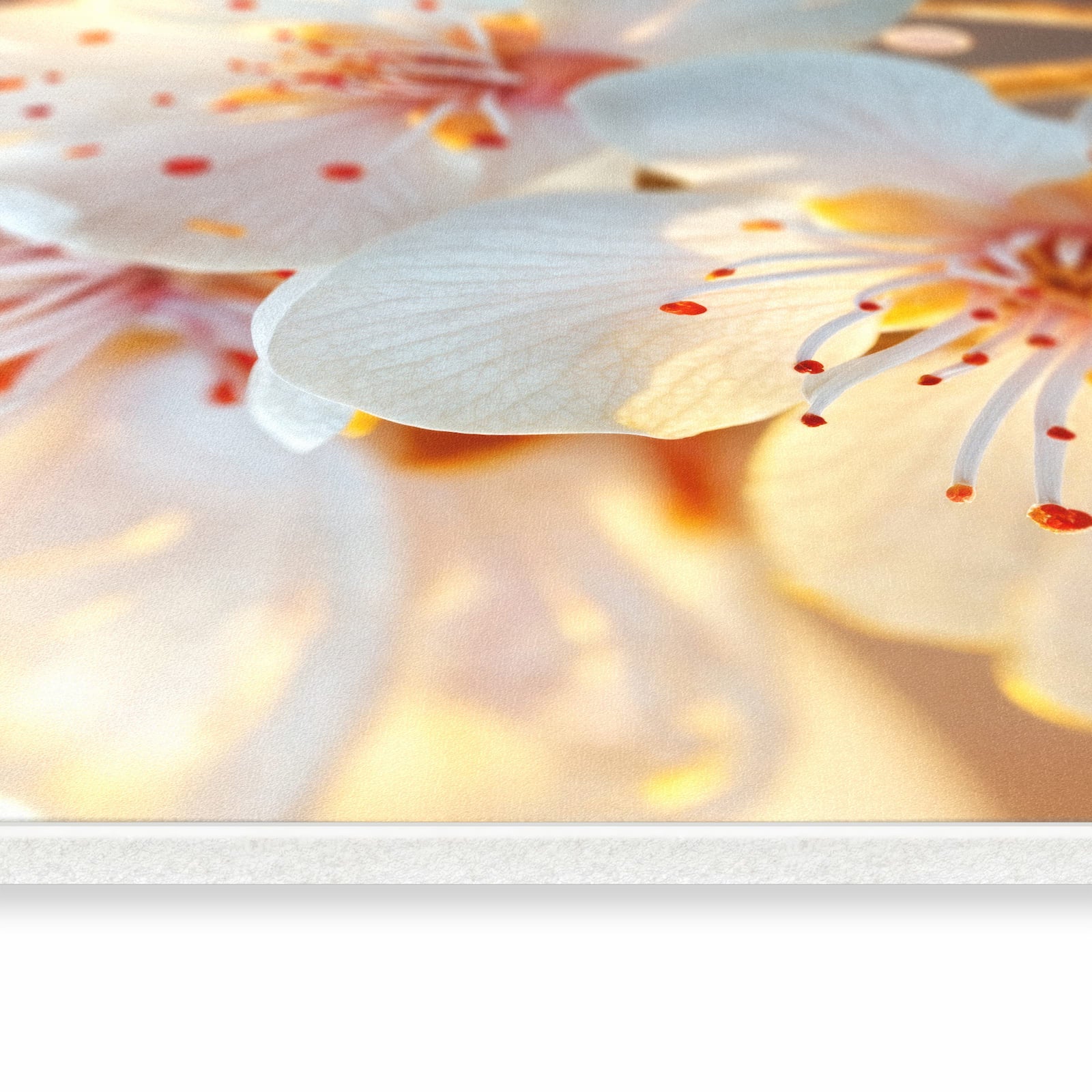 Rutschfester Küchenteppich mit Motiv Blumenstrahlen in seitlicher Ansicht