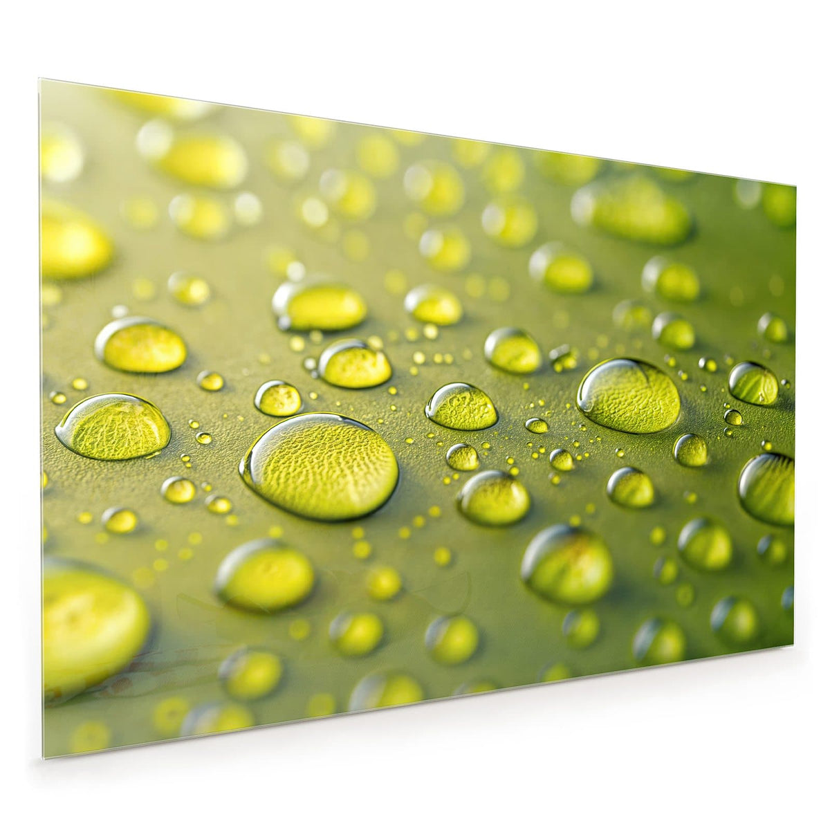 Küchenrückwand aus Glas im Hochformat: Makroaufnahme großer, klarer Tropfen auf olivgrüner Oberfläche, Hintergrund unscharf