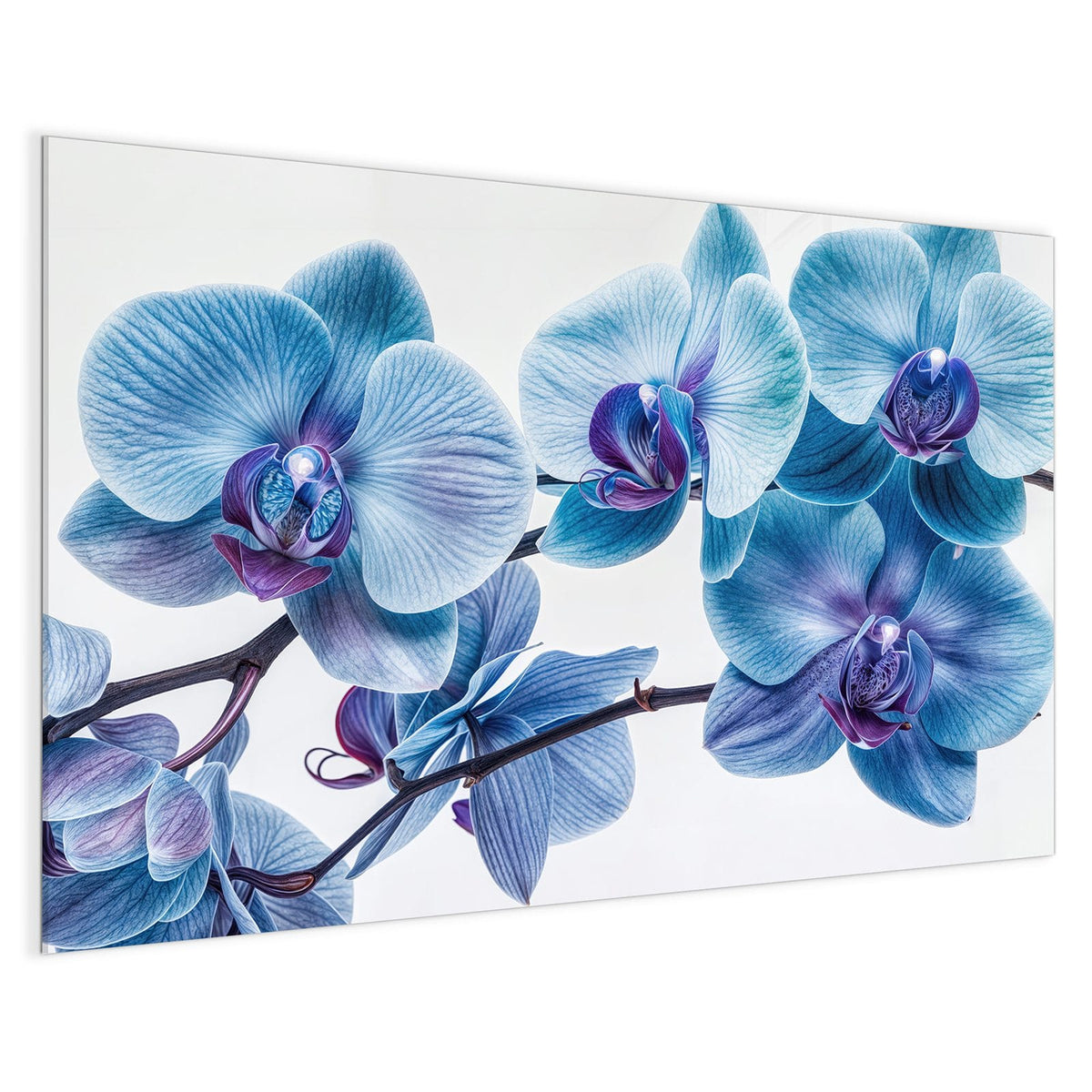 4 mm Glas statt lackiertem Blech – Magnettafel - Blauviolette Orchidee