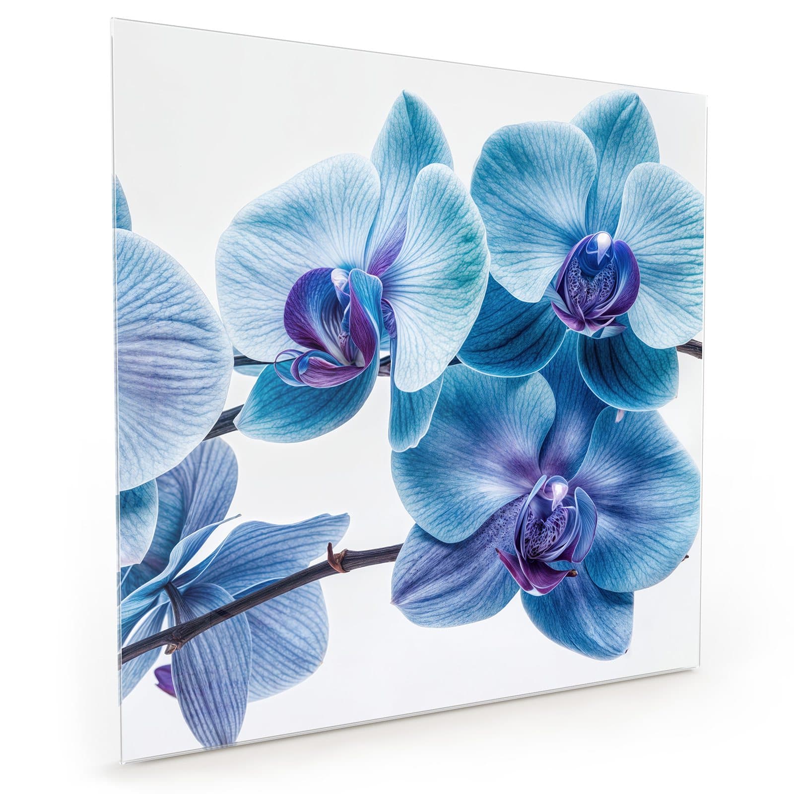 #70 x 70 cm_