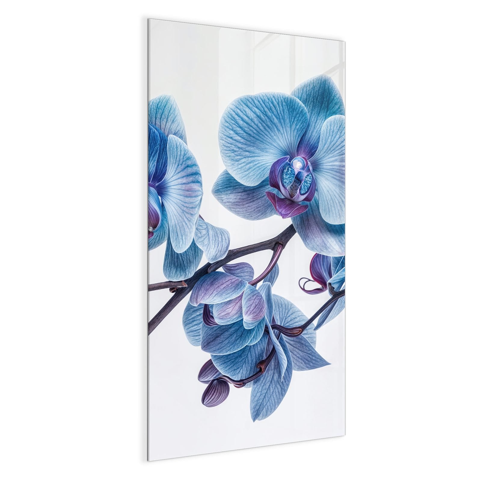 #grösse_50 x 100 cm