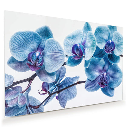 Wandbild mit dem Motiv Blauviolette Orchidee