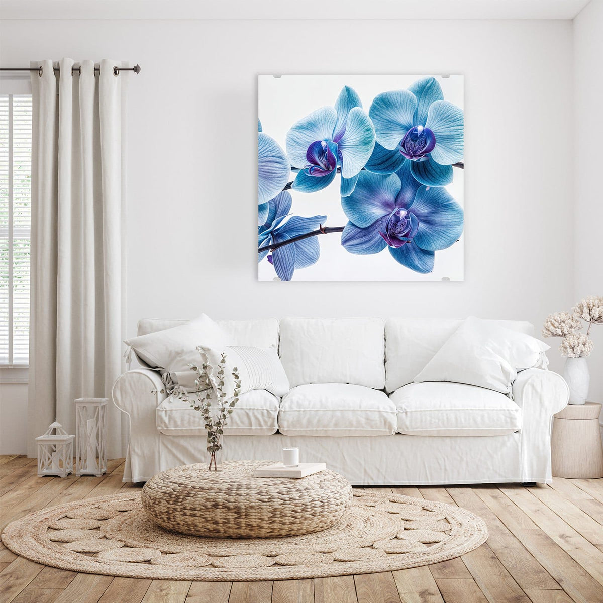 Orchideenzweig mit blauen Blüten und violetten Lippen vor Weiß
