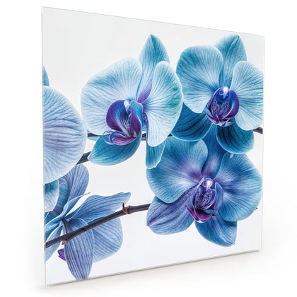 Küchenrückwand mit dem Motiv Blauviolette Orchidee