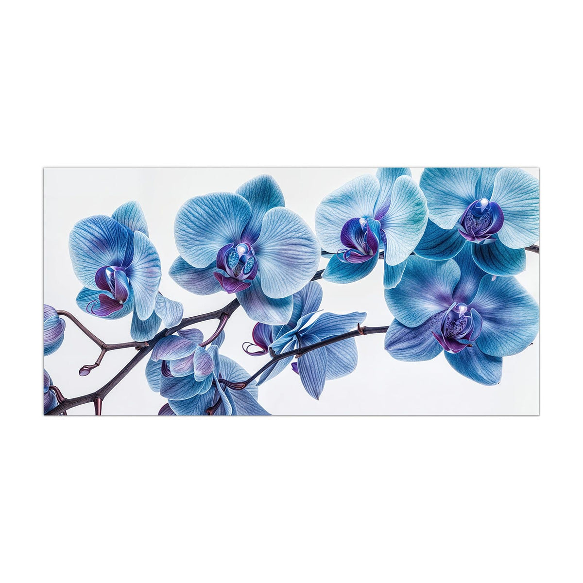 Küchenrückwand aus Glas Blauviolette Orchidee im Hochformat, Motiv bildfüllend von vorn
