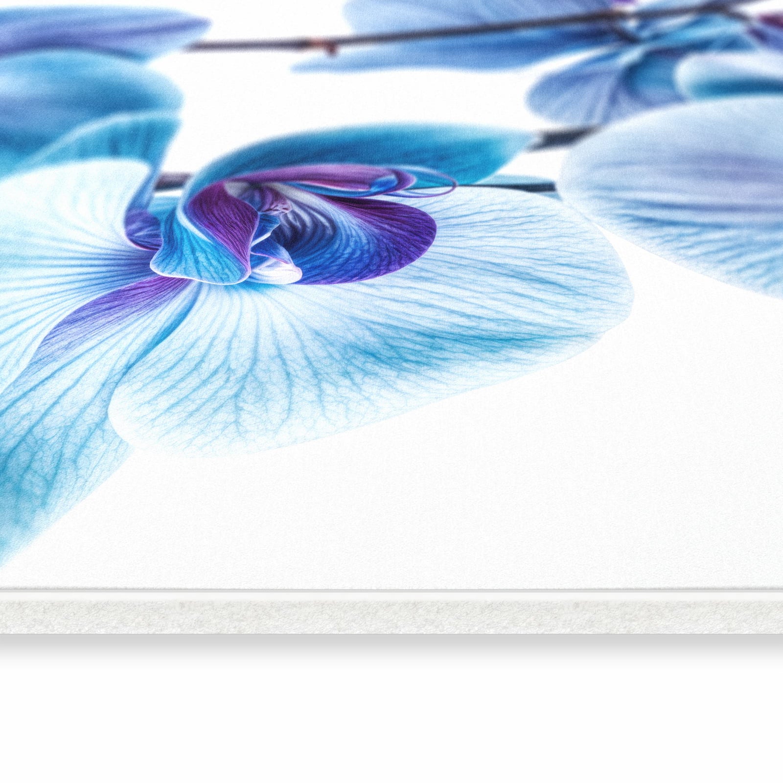 Langlebiger waschbarer Teppich für Esstisch mit Motiv Blaue Orchideen Blüte in seitlicher Ansicht