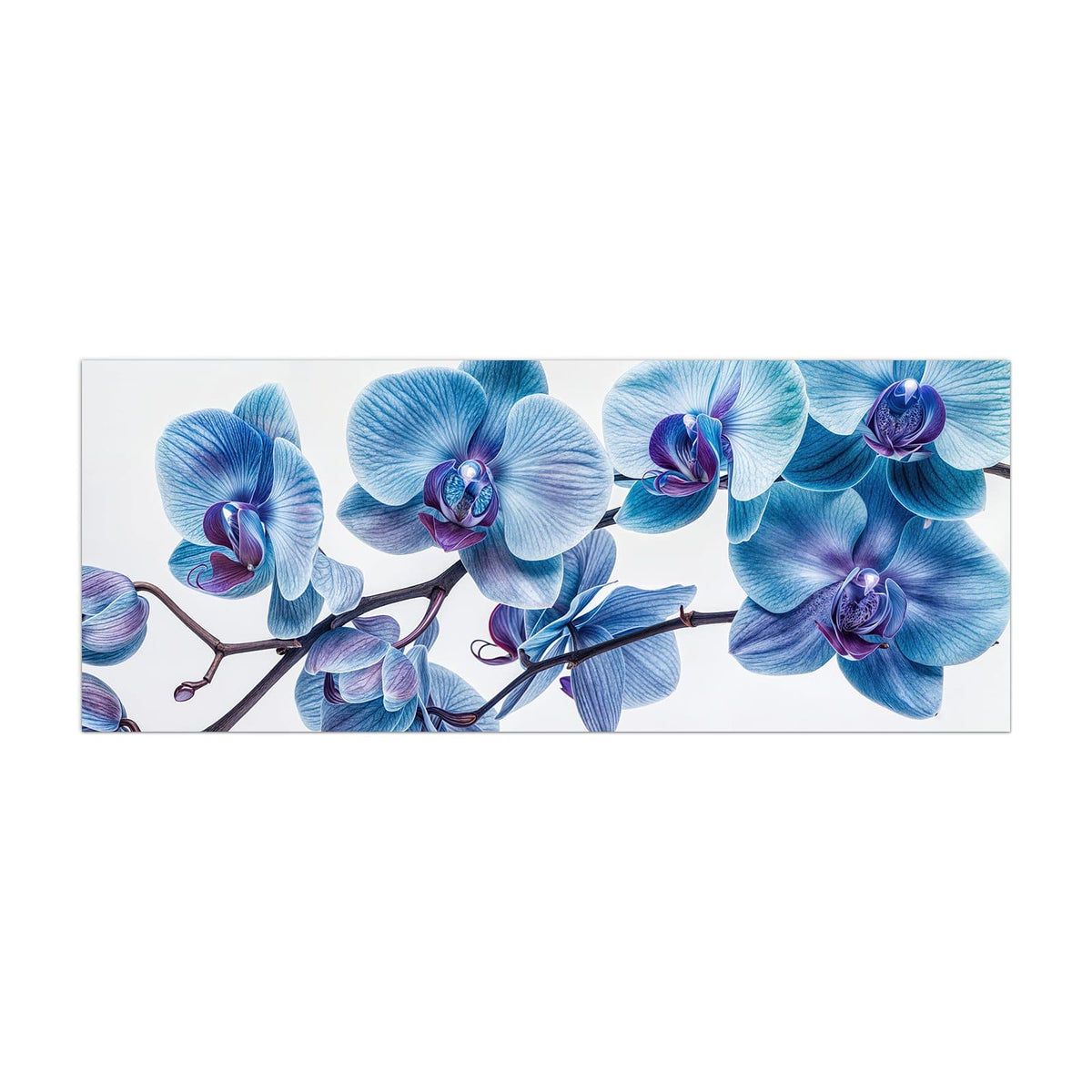 Küchenrückwand aus Glas Blauviolette Orchidee im Hochformat, Motiv bildfüllend von vorn
