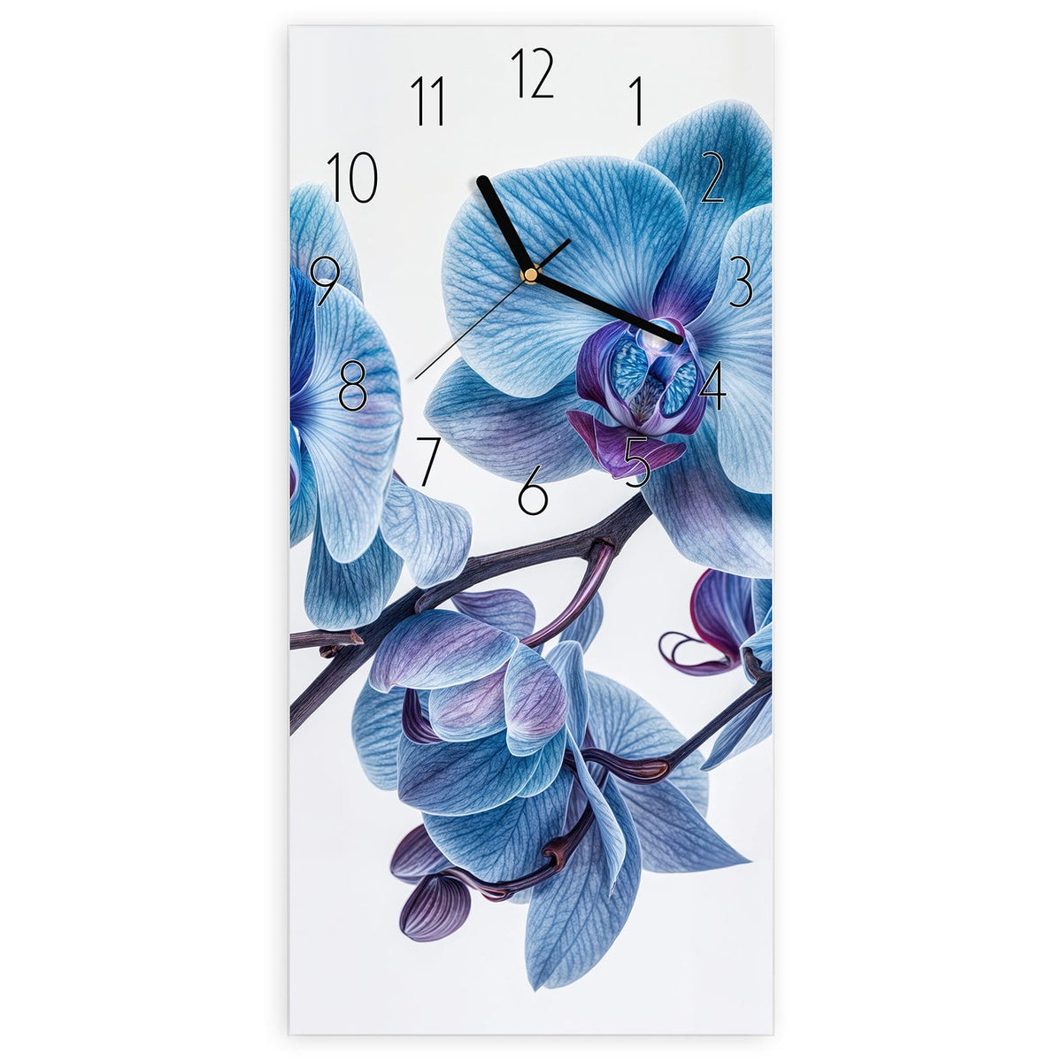 Wanduhr aus Glas, Ziffernblatt Elegant mit Motiv Blauviolette Orchidee: Orchideenzweig mit blauen Blüten und violetten Lippen vor Weiß #ziffernblatt_Elegant