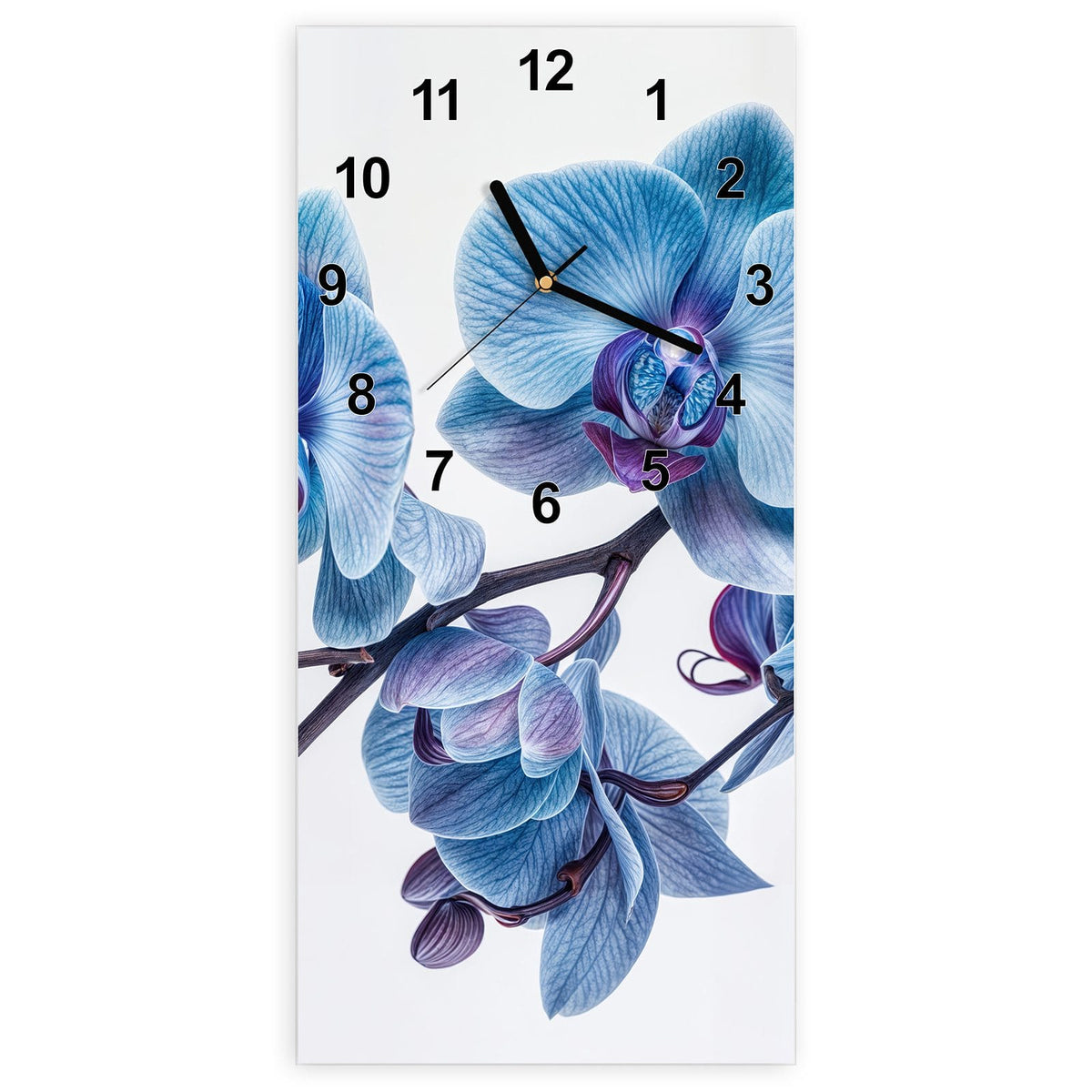 Wanduhr aus Glas, Ziffernblatt Modern mit Motiv Blauviolette Orchidee: Orchideenzweig mit blauen Blüten und violetten Lippen vor Weiß
