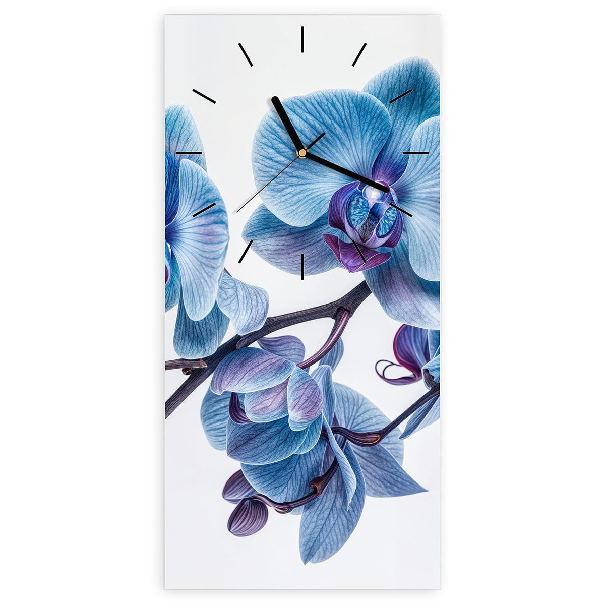 Wanduhr aus Glas, Ziffernblatt Linie mit Motiv Blauviolette Orchidee: Orchideenzweig mit blauen Blüten und violetten Lippen vor Weiß