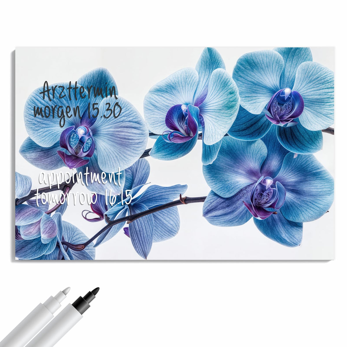 Beschreiben, abwischen, anheften – Metall Magnettafel - Blauviolette Orchidee