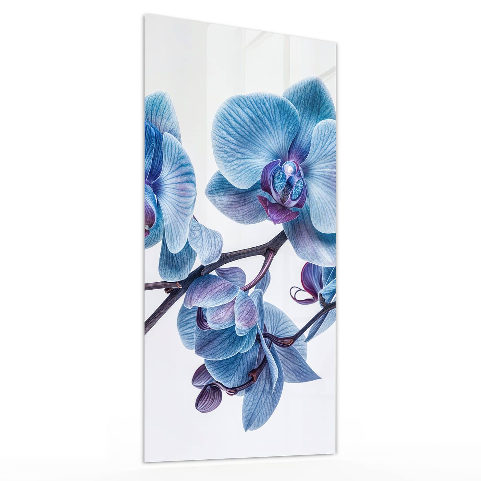 #grösse_30 x 60 cm #grösse_40 x 80 cm #grösse_50 x 100 cm #grösse_55 x 110 cm #grösse_60 x 120 cm