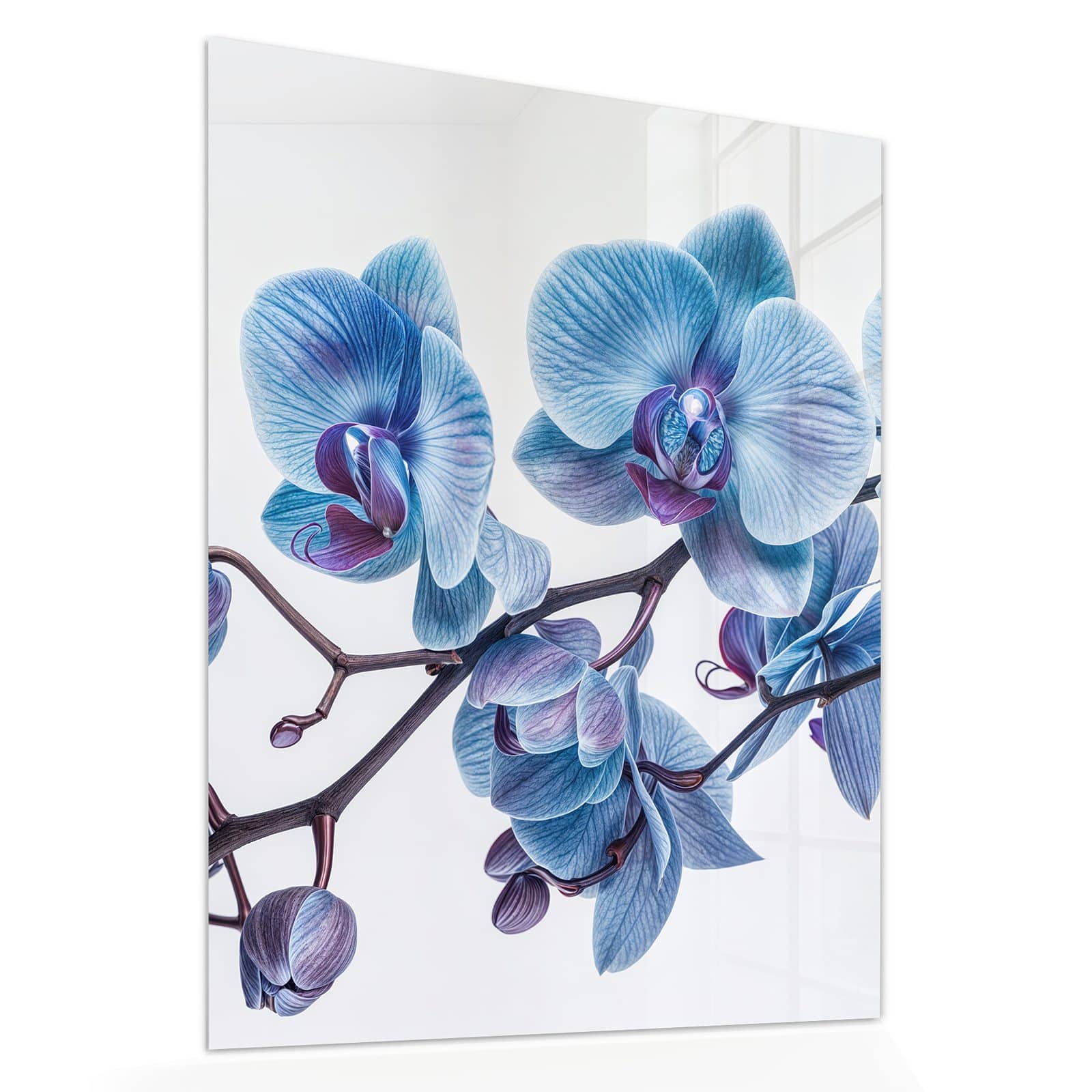 #grösse_60 x 75 cm #grösse_80 x 100 cm