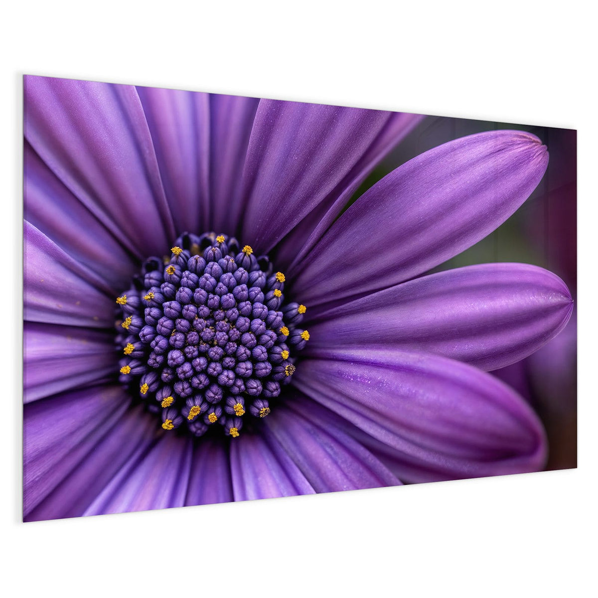 4 mm Glas statt lackiertem Blech – Magnettafel - Lila Kapkörbchen