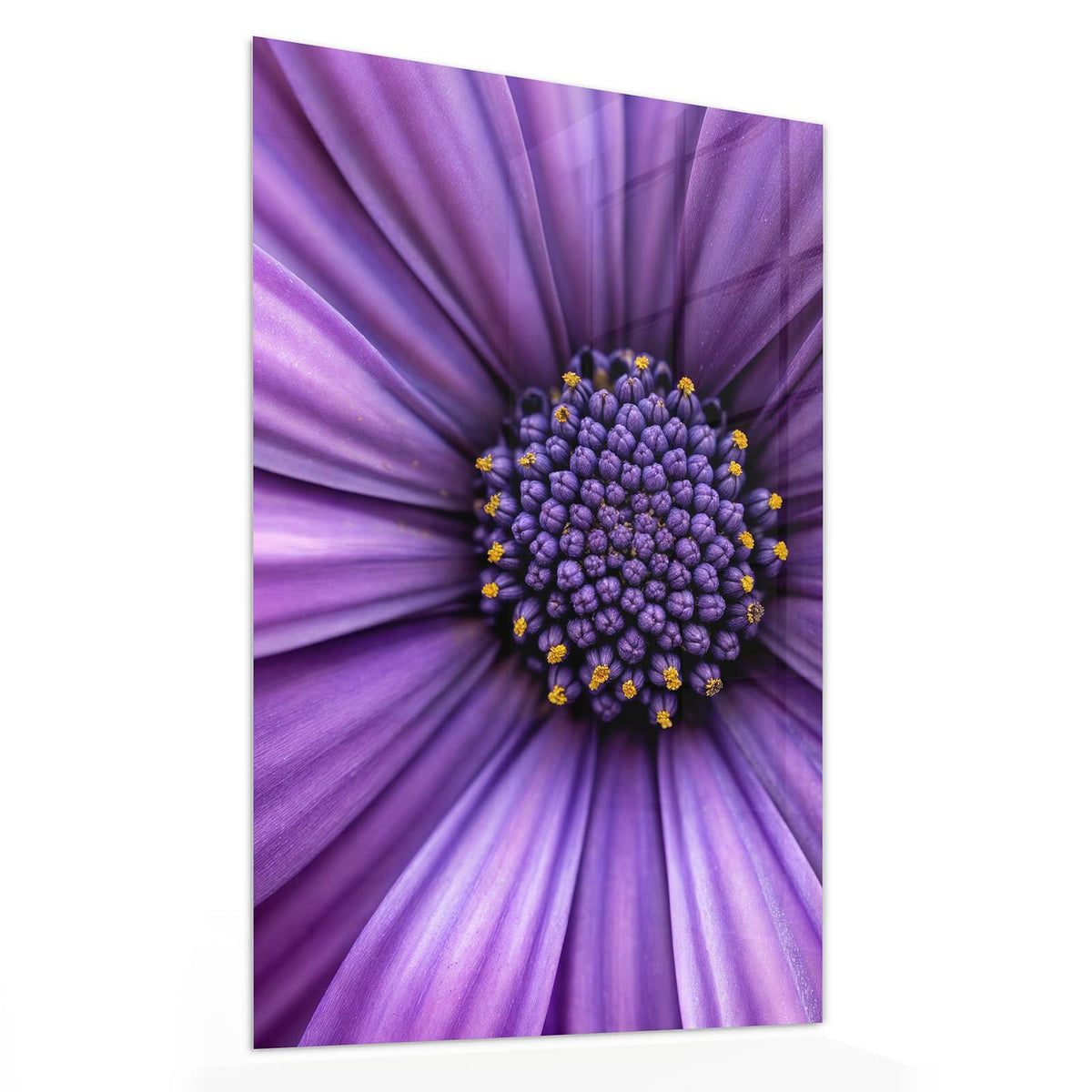 11 Größen – von 30 × 60 bis 60 × 150 cm – Wandbild - Lila Kapkörbchen - Hochformat
