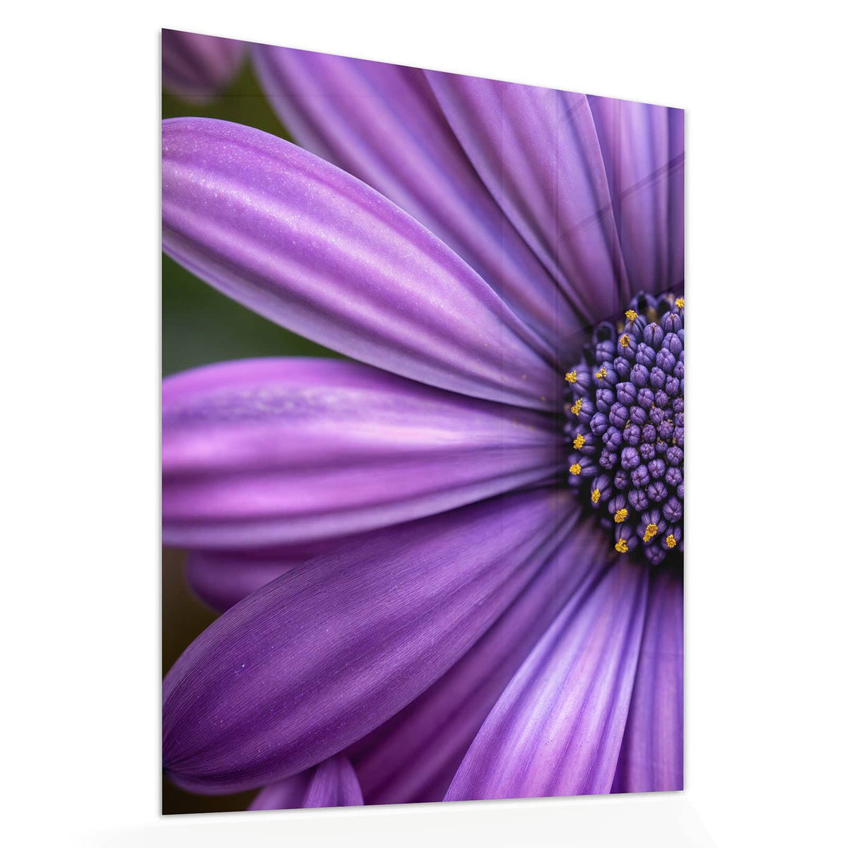 Echtglas, 4 mm – kein Acryl, keine Folie – Wandbild - Lila Kapkörbchen - Hochformat