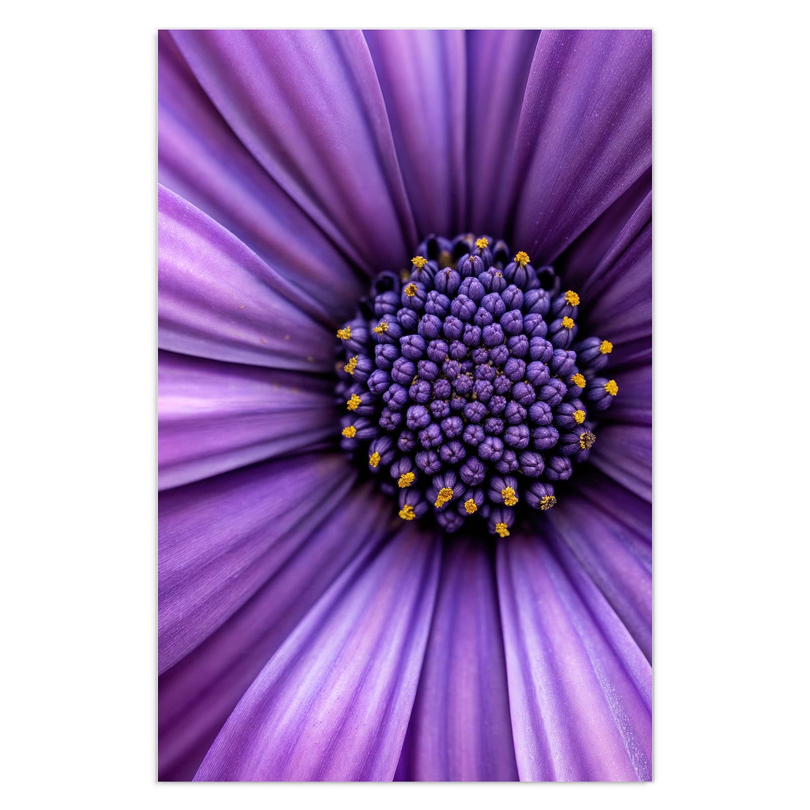 #grösse_40 x 60 cm #grösse_50 x 75 cm #grösse_60 x 90 cm