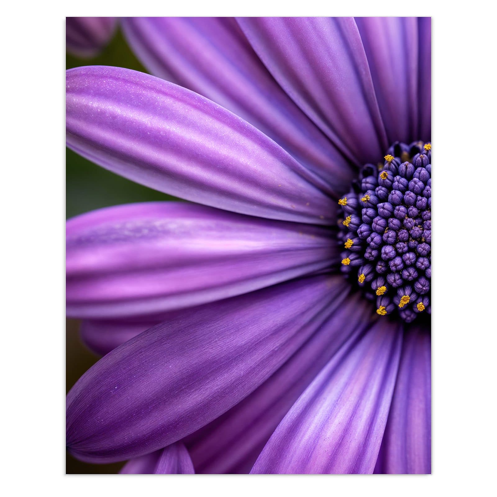 #grösse_60 x 75 cm #grösse_80 x 100 cm