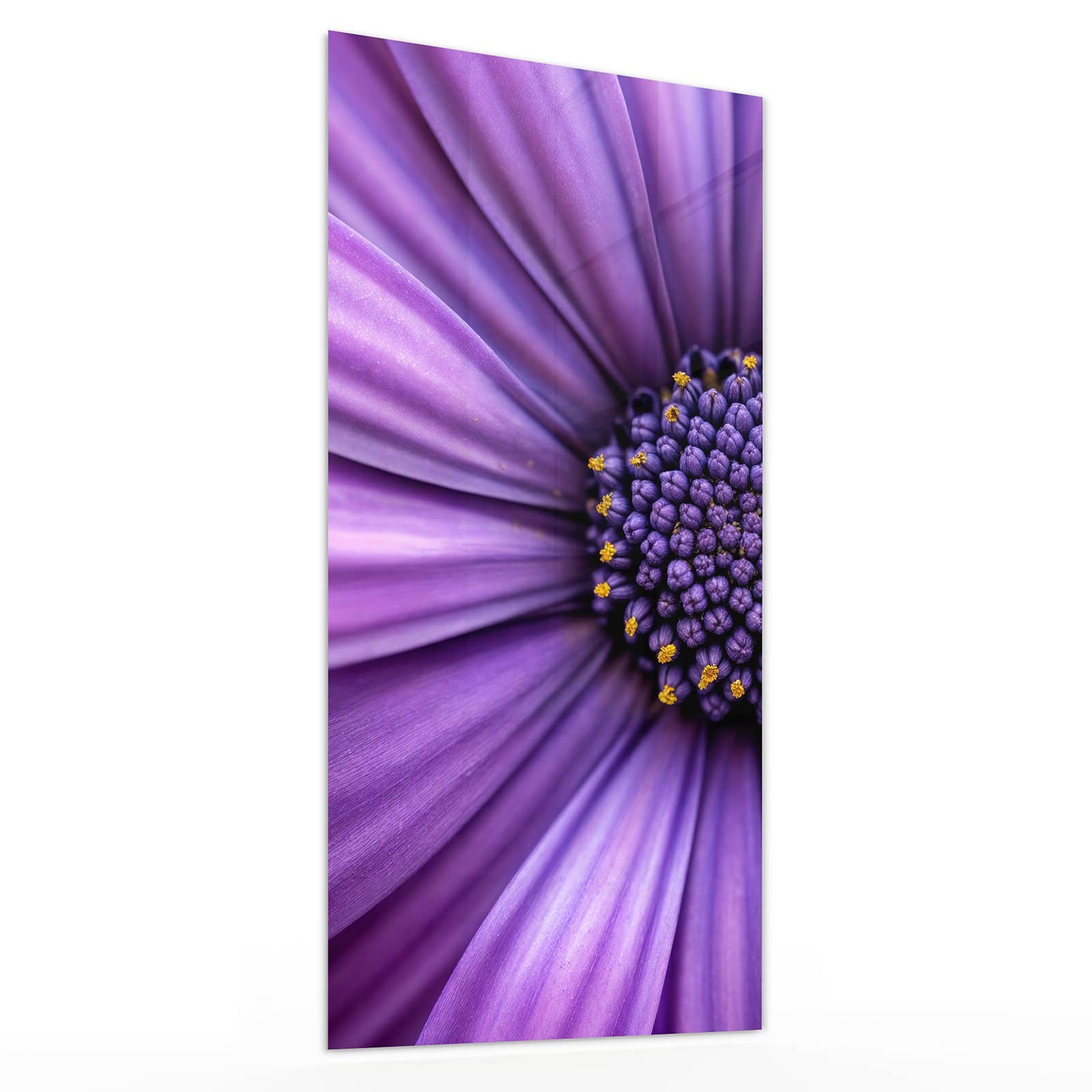 #grösse_30 x 60 cm #grösse_40 x 80 cm #grösse_50 x 100 cm #grösse_55 x 110 cm #grösse_60 x 120 cm