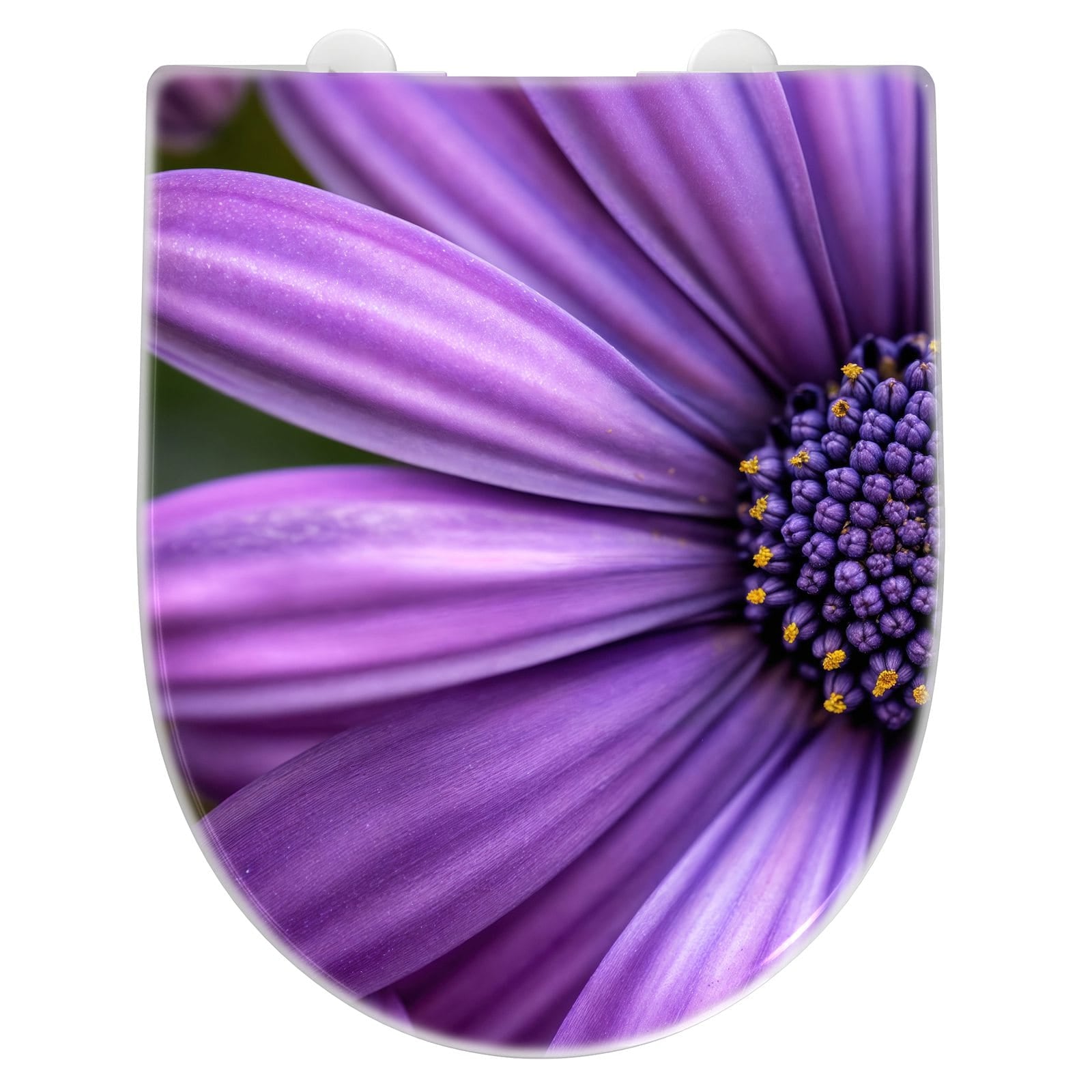 WC-Sitz mit Absenkautomatik Blume Nahaufnahme