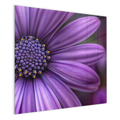 Magnettafel mit dem Motiv Lila Kapkörbchen