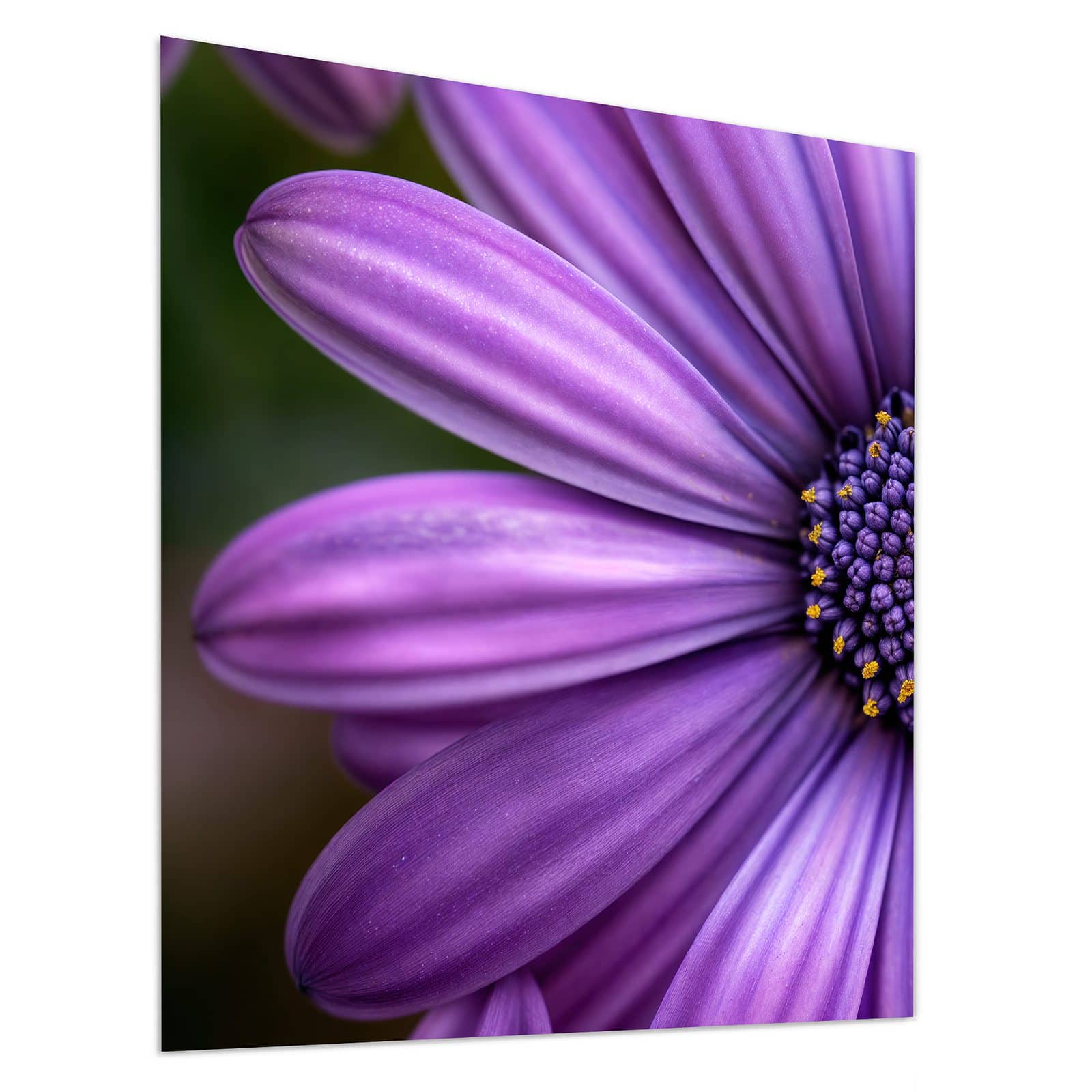 #grösse_90 x 100 cm