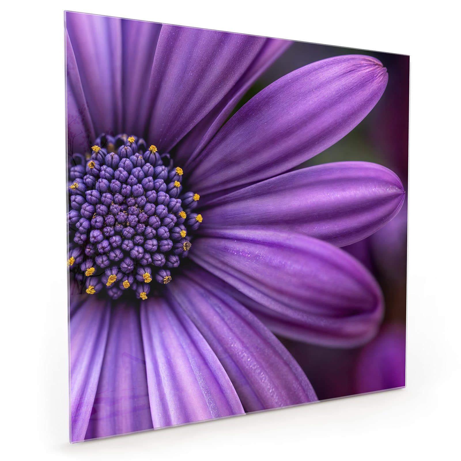 #70 x 70 cm_