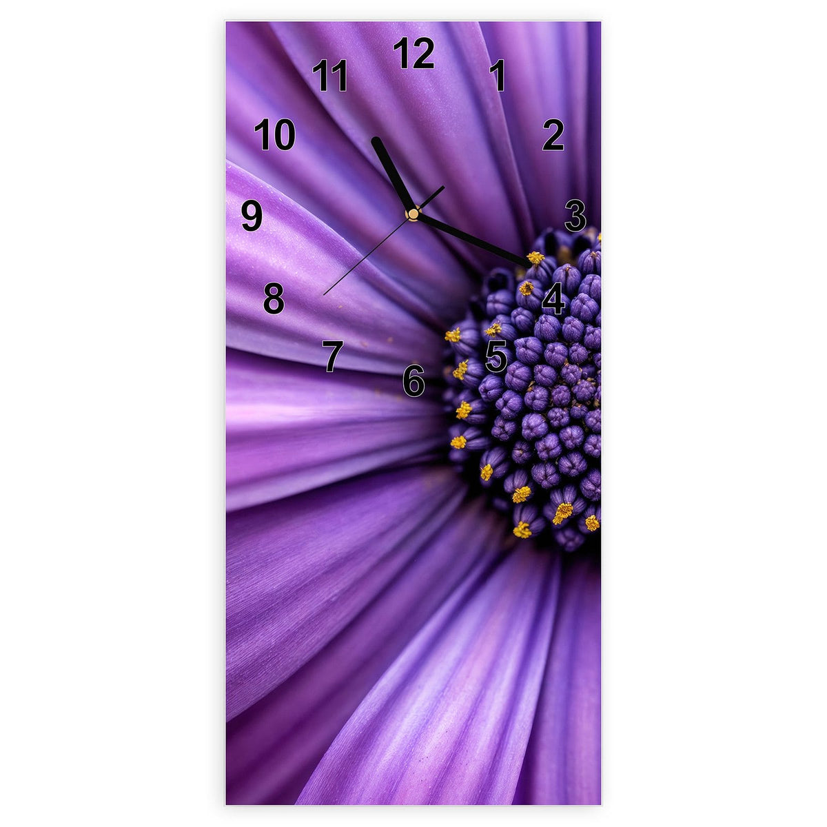 Wanduhr aus Glas, Ziffernblatt Modern mit Motiv Lila Kapkörbchen: Nahaufnahme eines violetten Kapkörbchens mit dunkelblauem, gelb getupftem Zentrum.