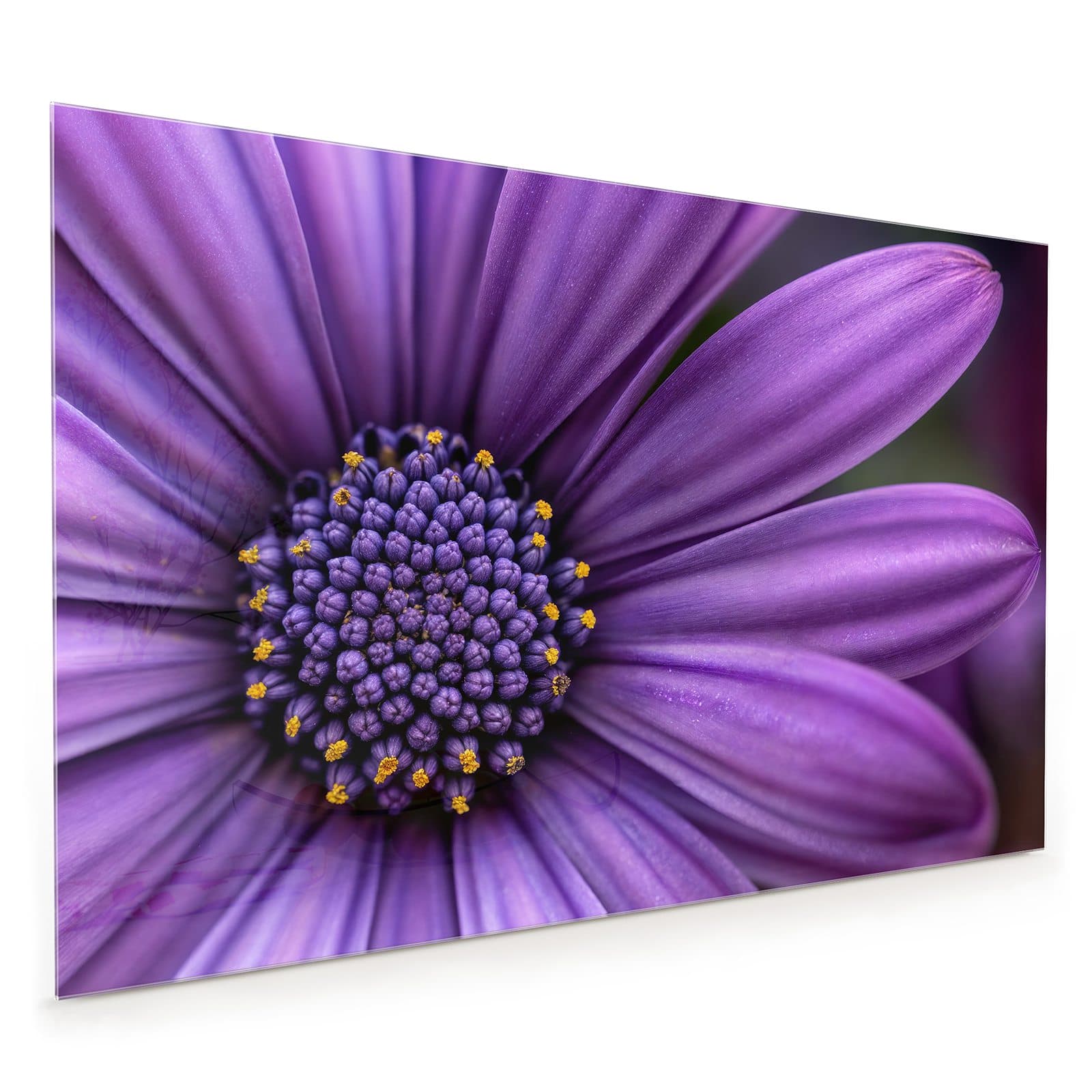 #80 x 120 cm_