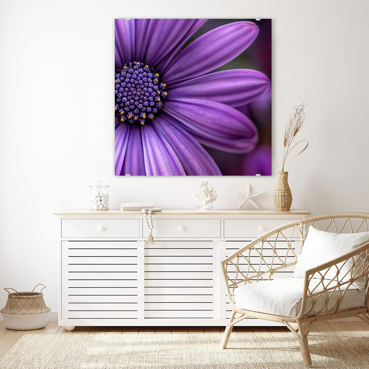 Glasbild Lila Kapkörbchen an der Wand – Nahaufnahme eines violetten Kapkörbchens mit dunkelblauem, gelb getupftem Zentrum.